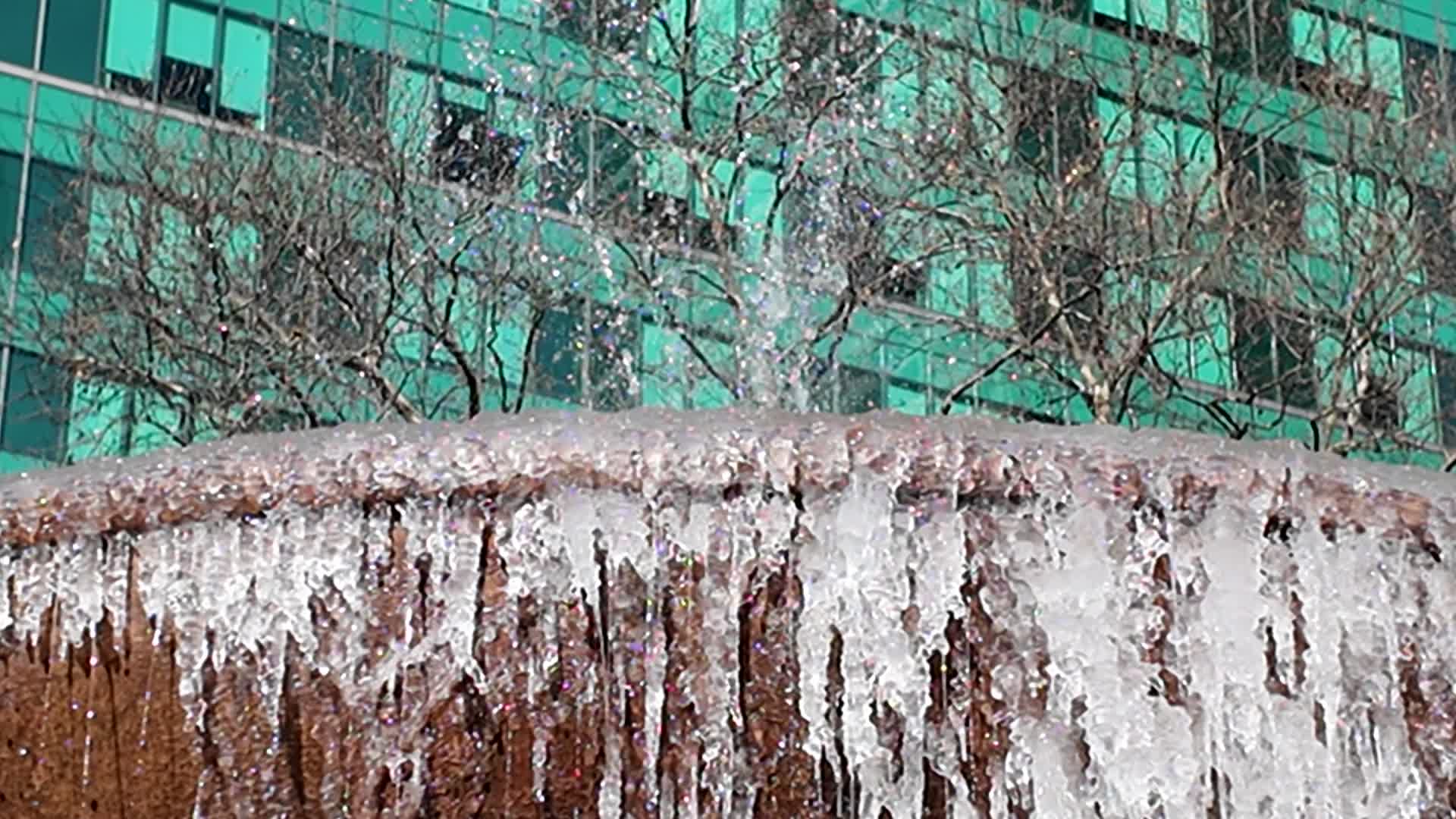 New York City Cold

