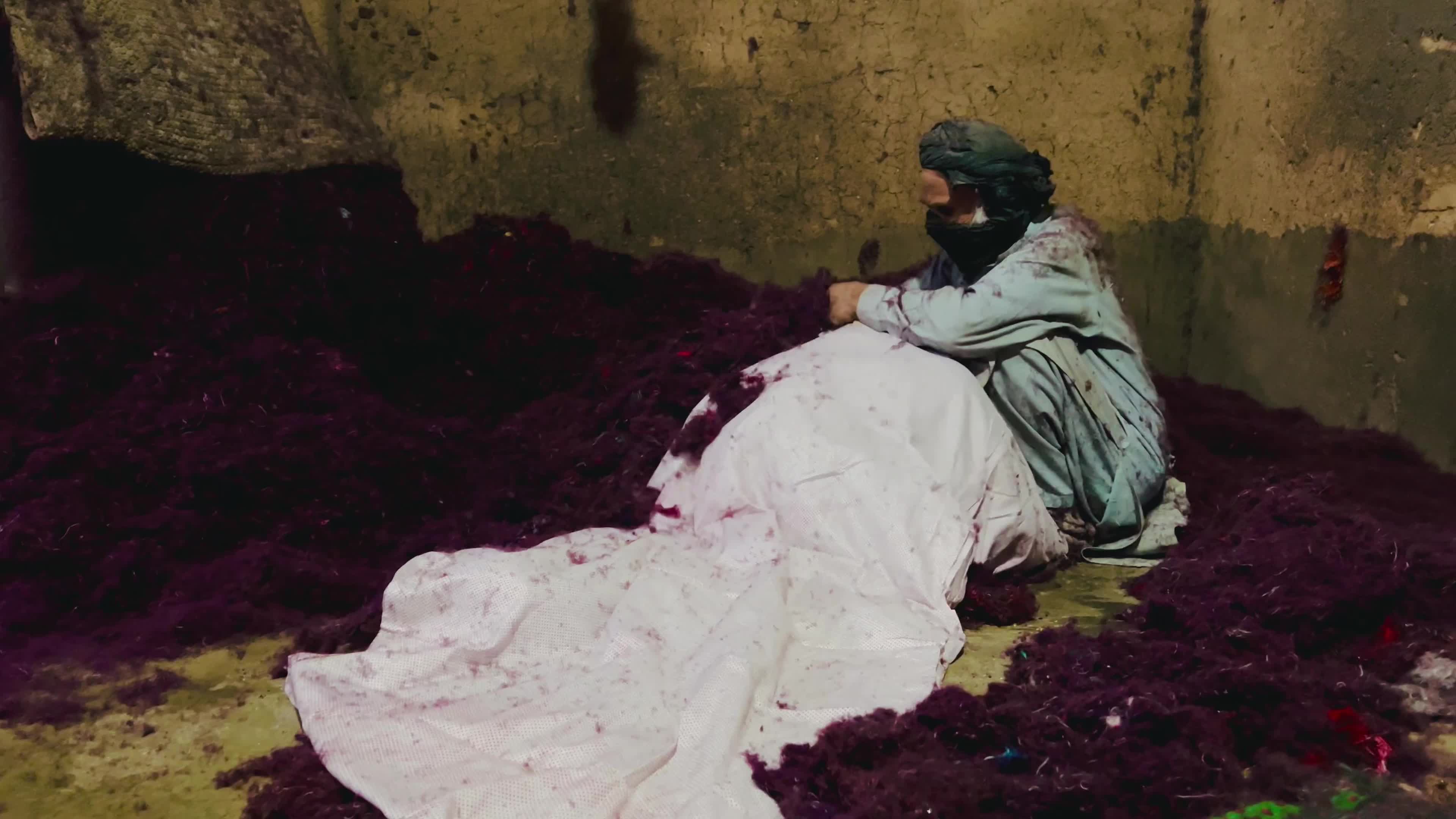 Cotton processing industry in Peshawar