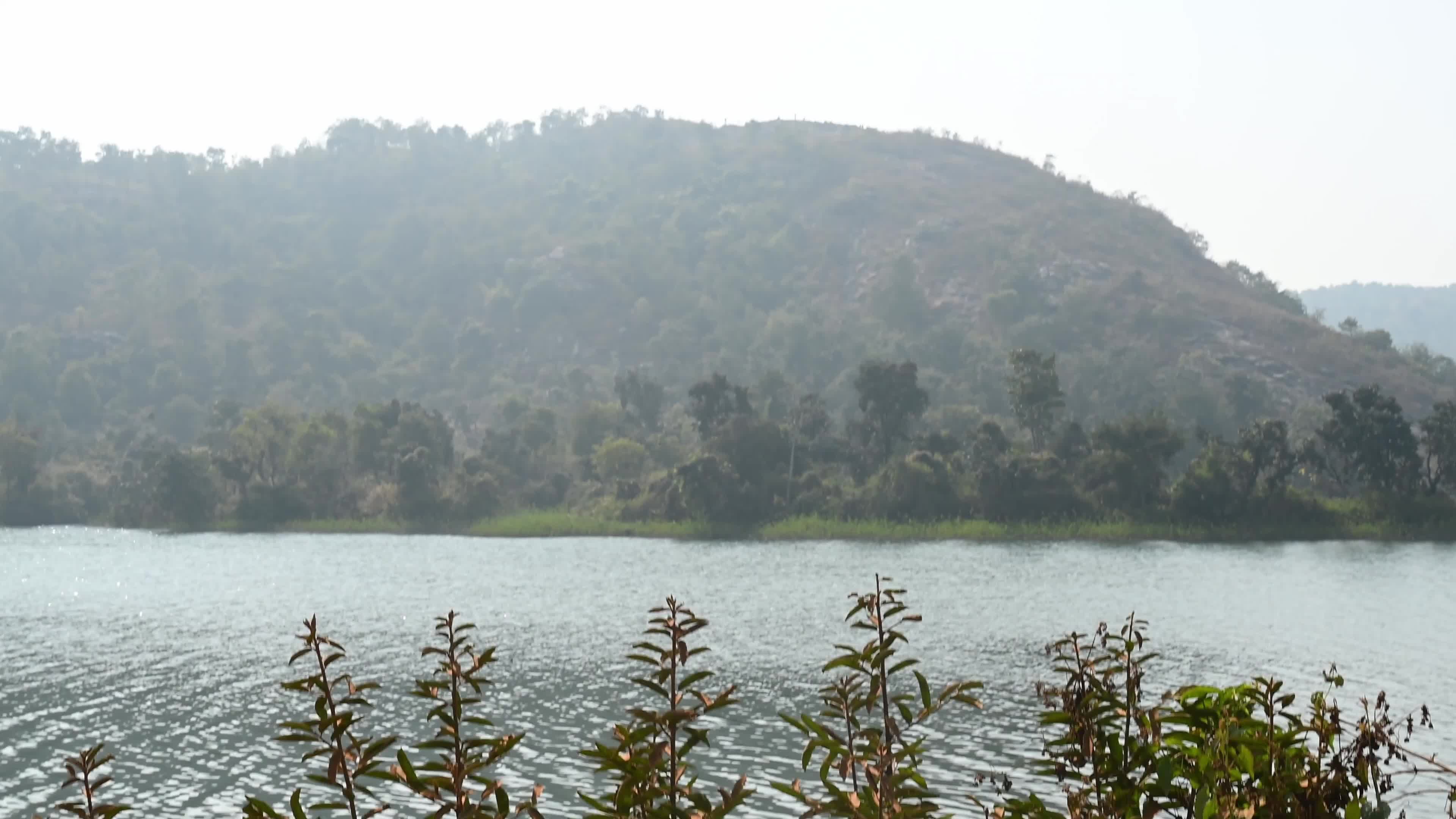 Murguma Dam - Indian Tribal Community - Indigenous People 