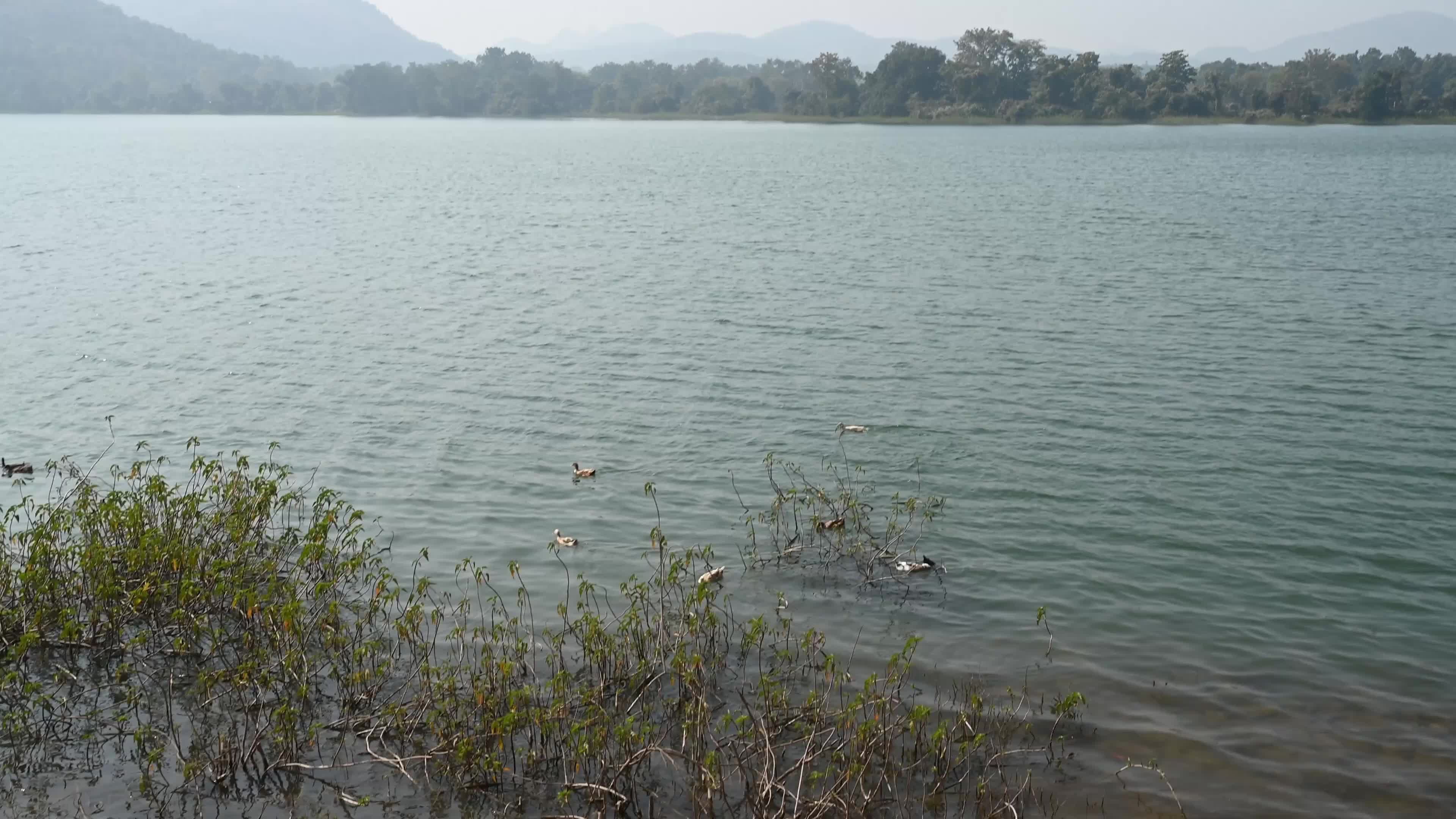 Murguma Dam - Indian Tribal Community - Indigenous People 