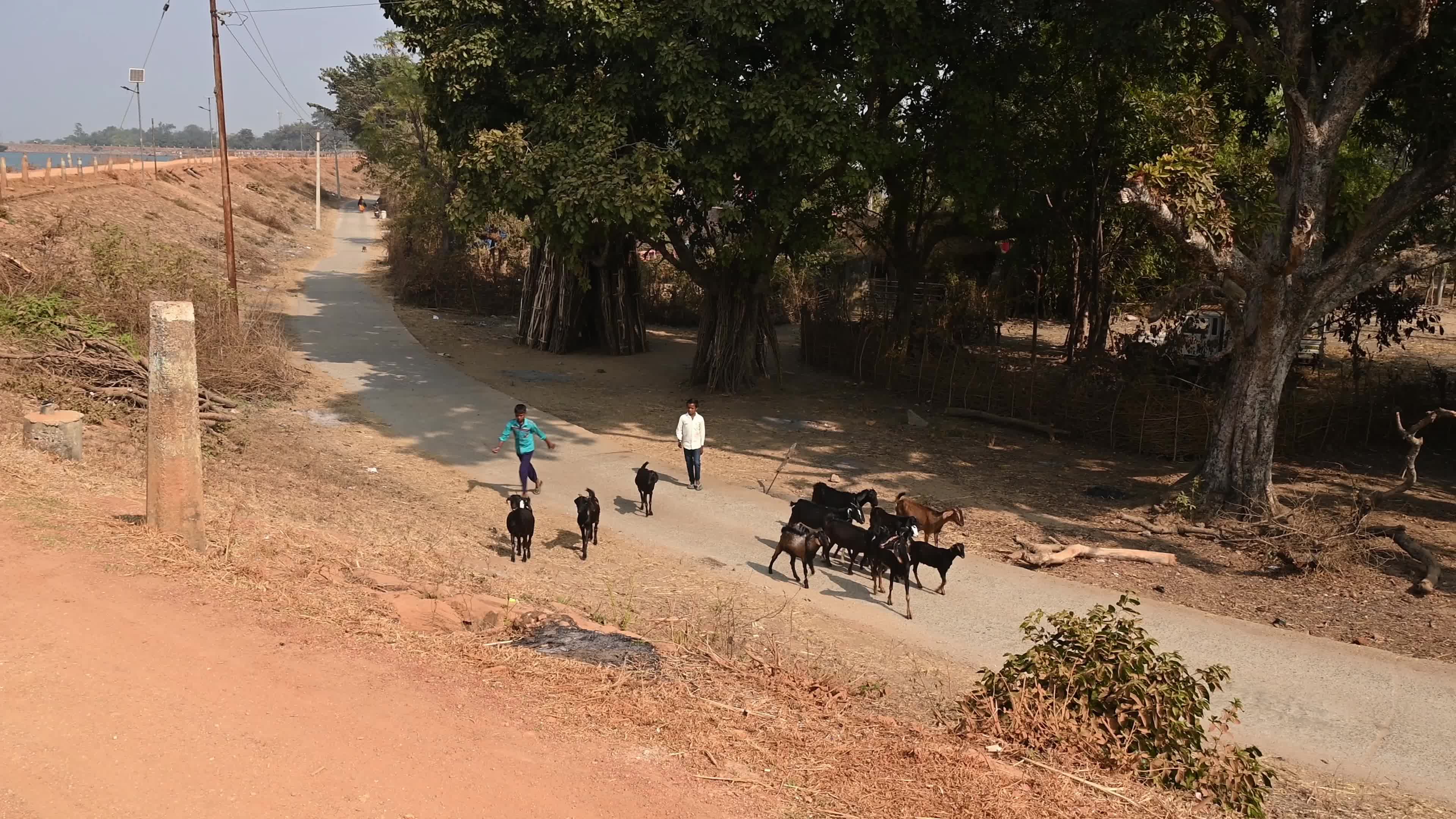 Murguma Dam - Indian Tribal Community - Indigenous People 