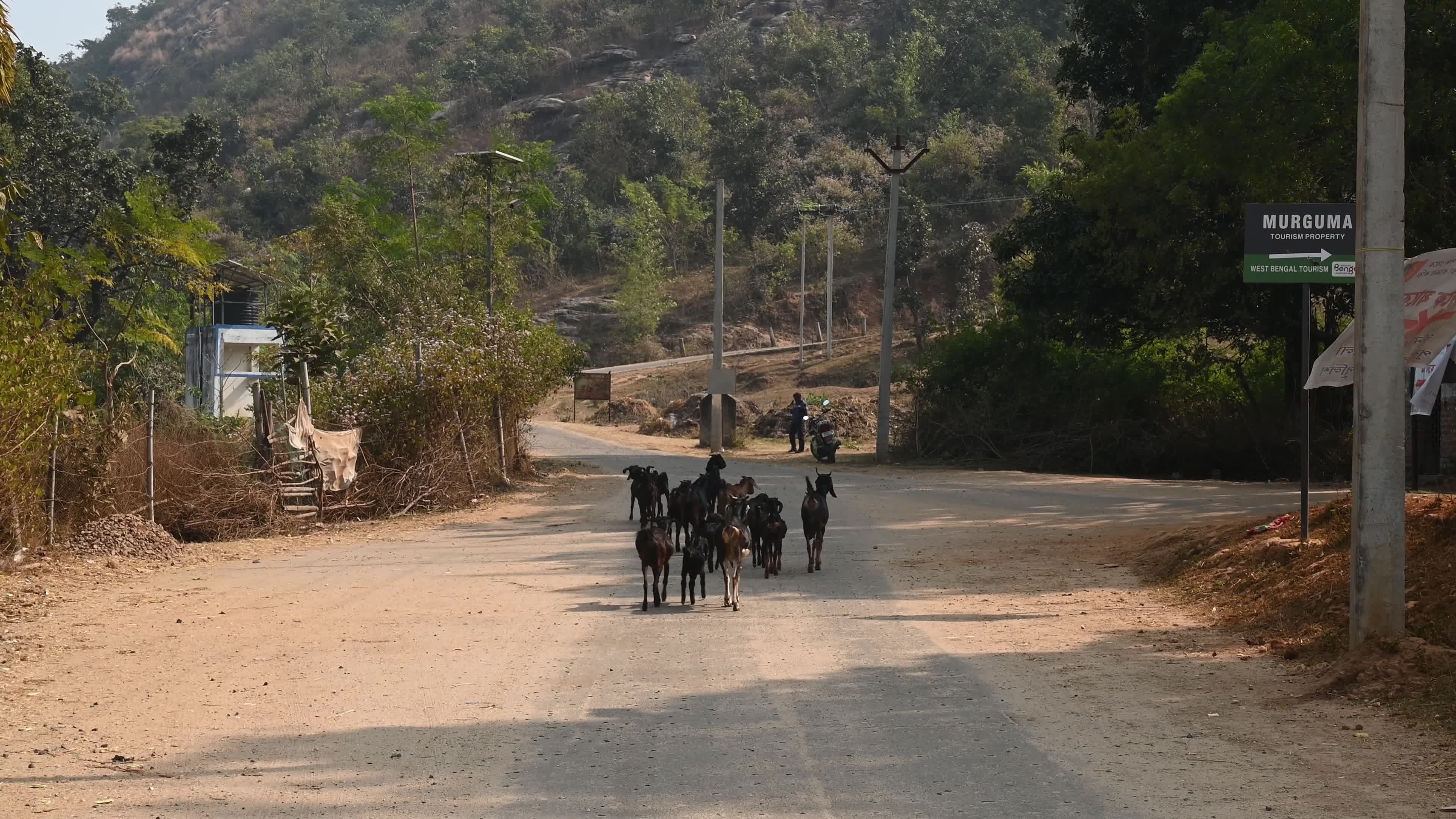 Murguma Dam - Indian Tribal Community - Indigenous People 