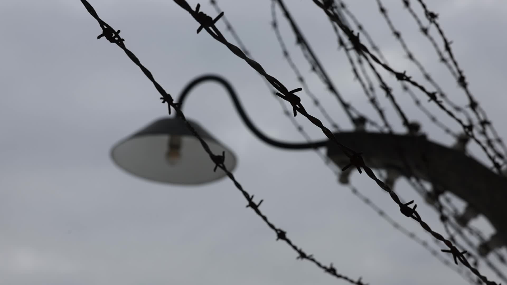 Auschwitz-Birkenau Ahead Of The 81st Anniversary Of Liberation