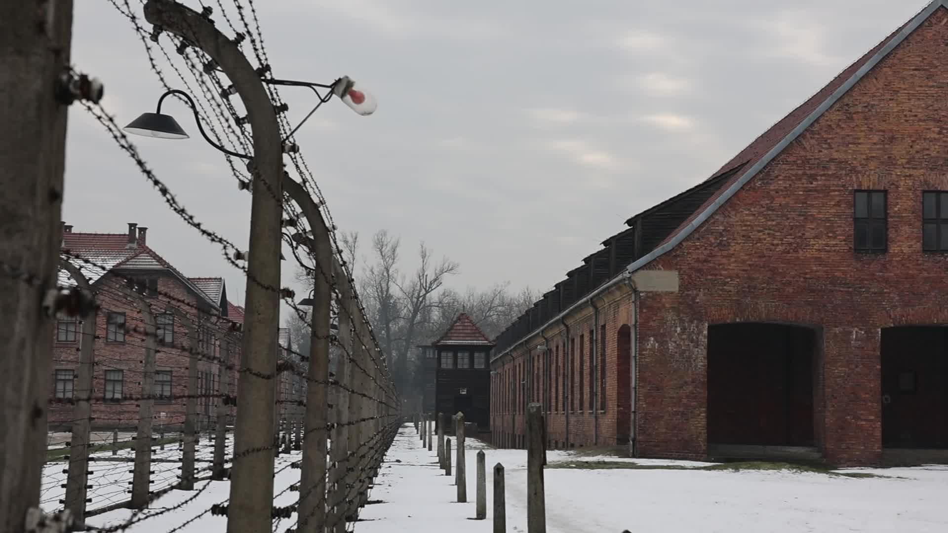 Auschwitz-Birkenau Ahead Of The 81st Anniversary Of Liberation