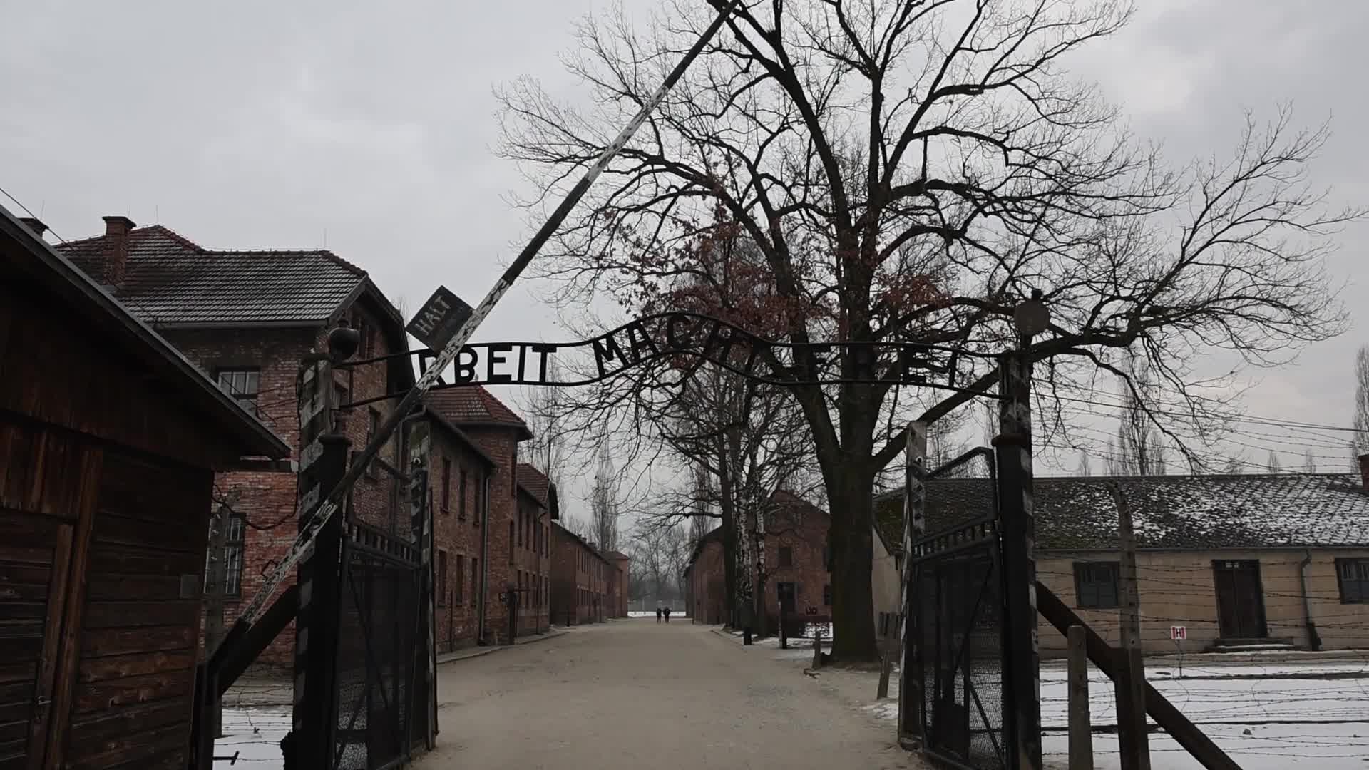 Auschwitz-Birkenau Ahead Of The 81st Anniversary Of Liberation