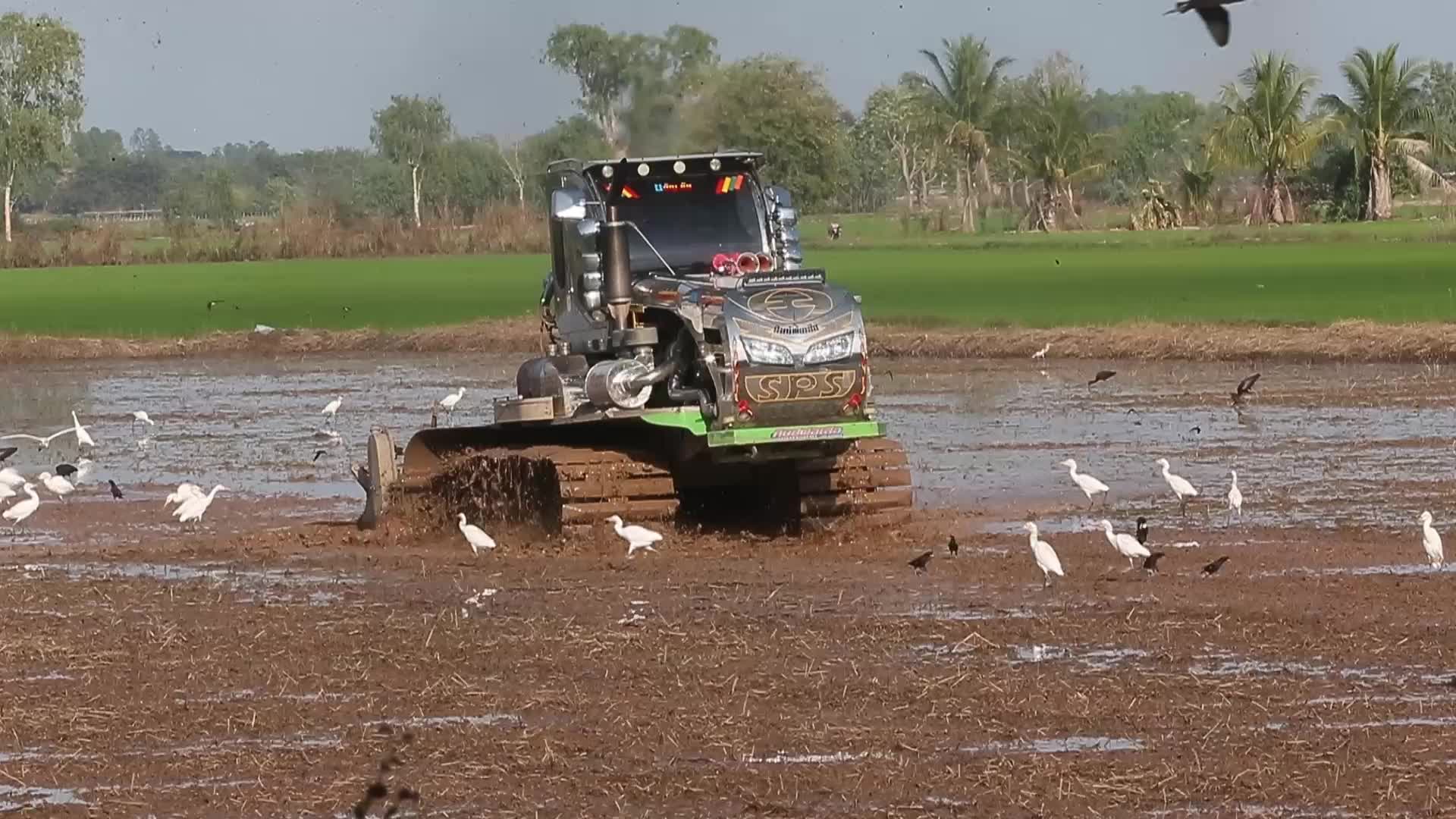 A farmer clears his rice fields
