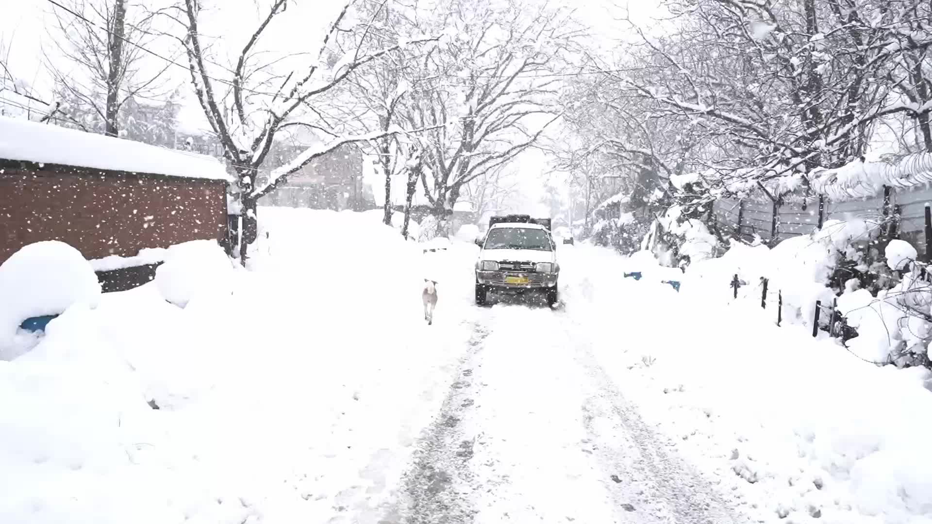 Heavy Snowfall in Kashmir 