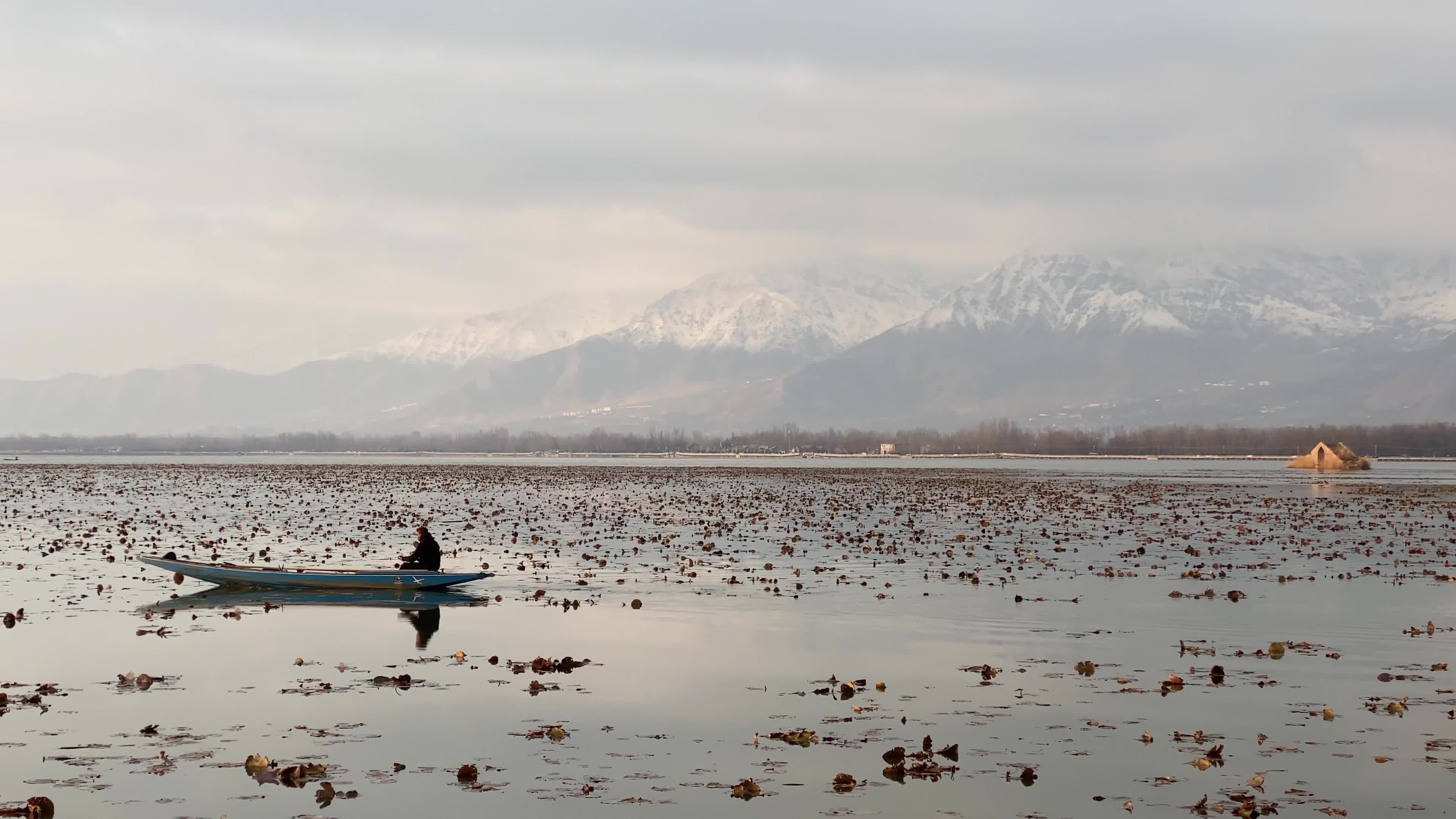 Winter Day In Srinagar