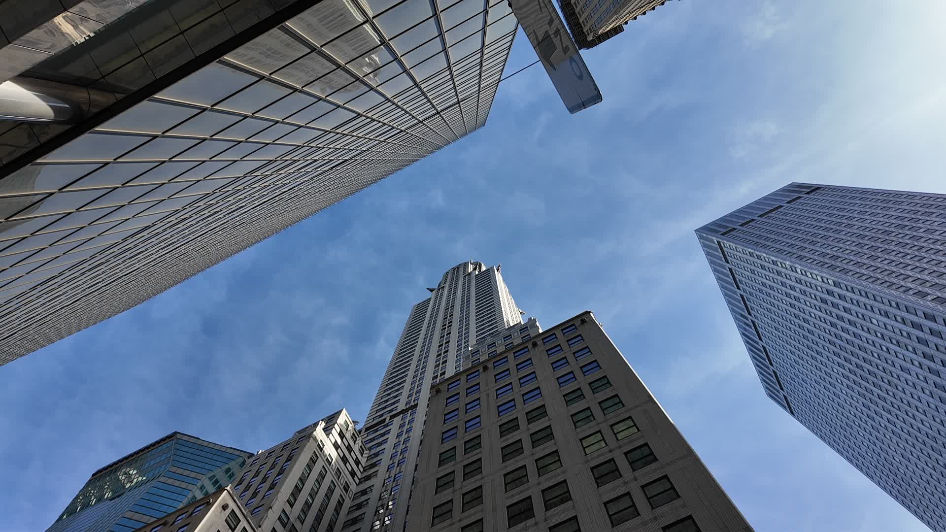 New York Looking Up
