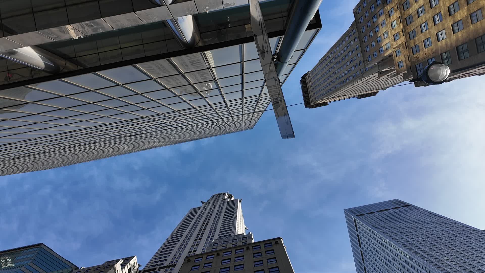 New York Looking Up
