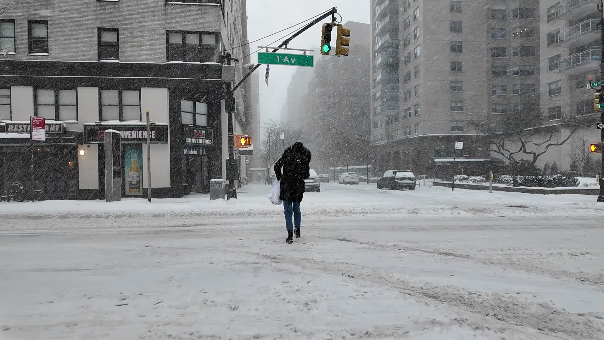 New York City Winter Storm