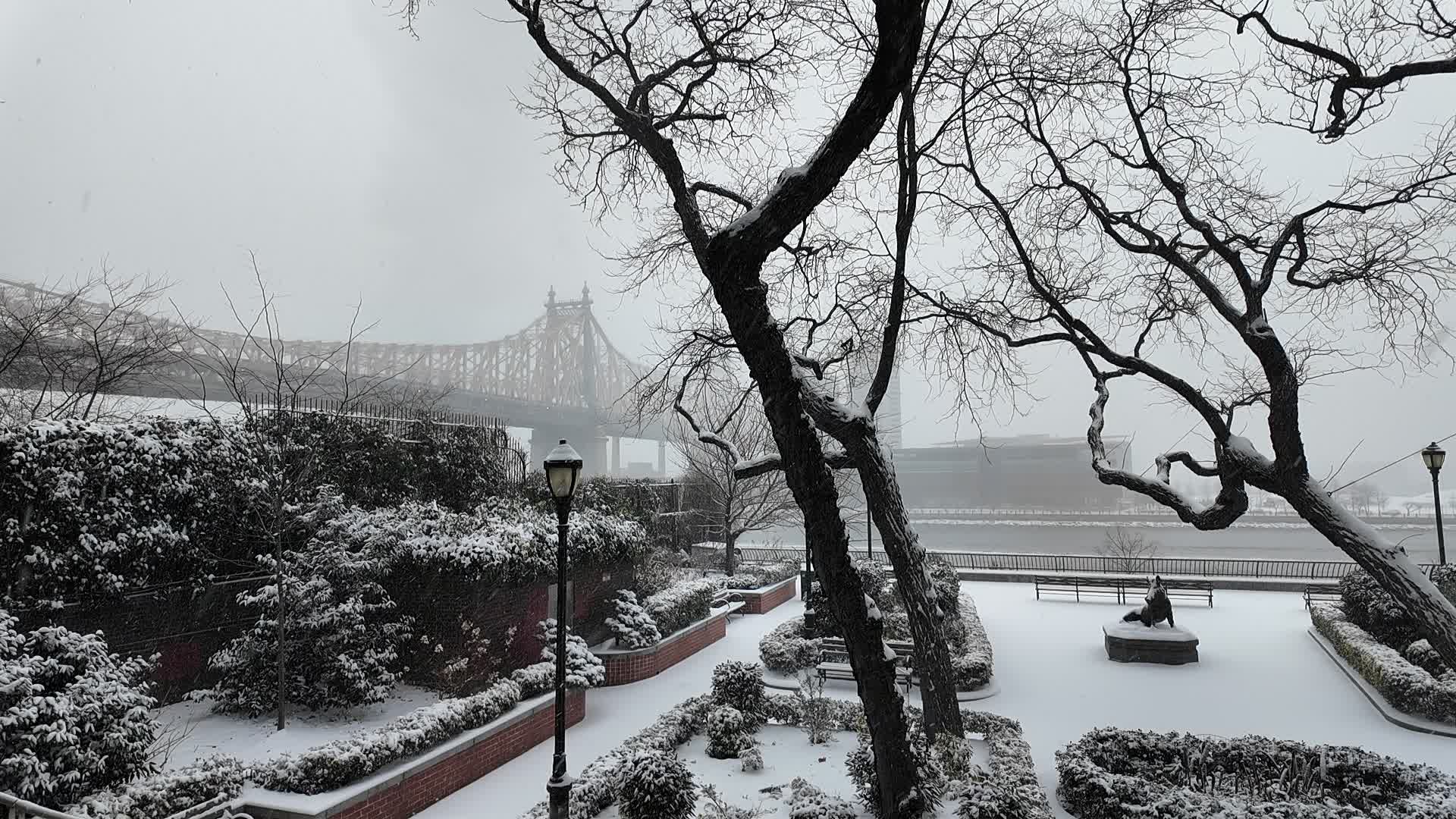 New York City Winter Storm

