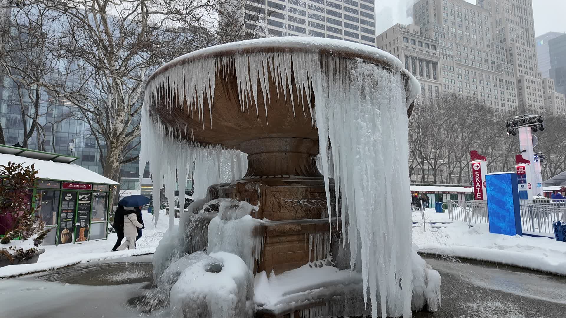 New York City Winter Storm
