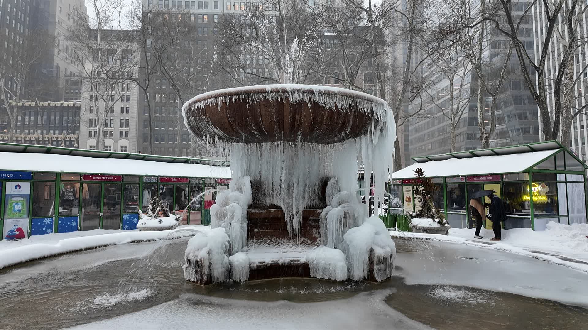 New York City Winter Storm
