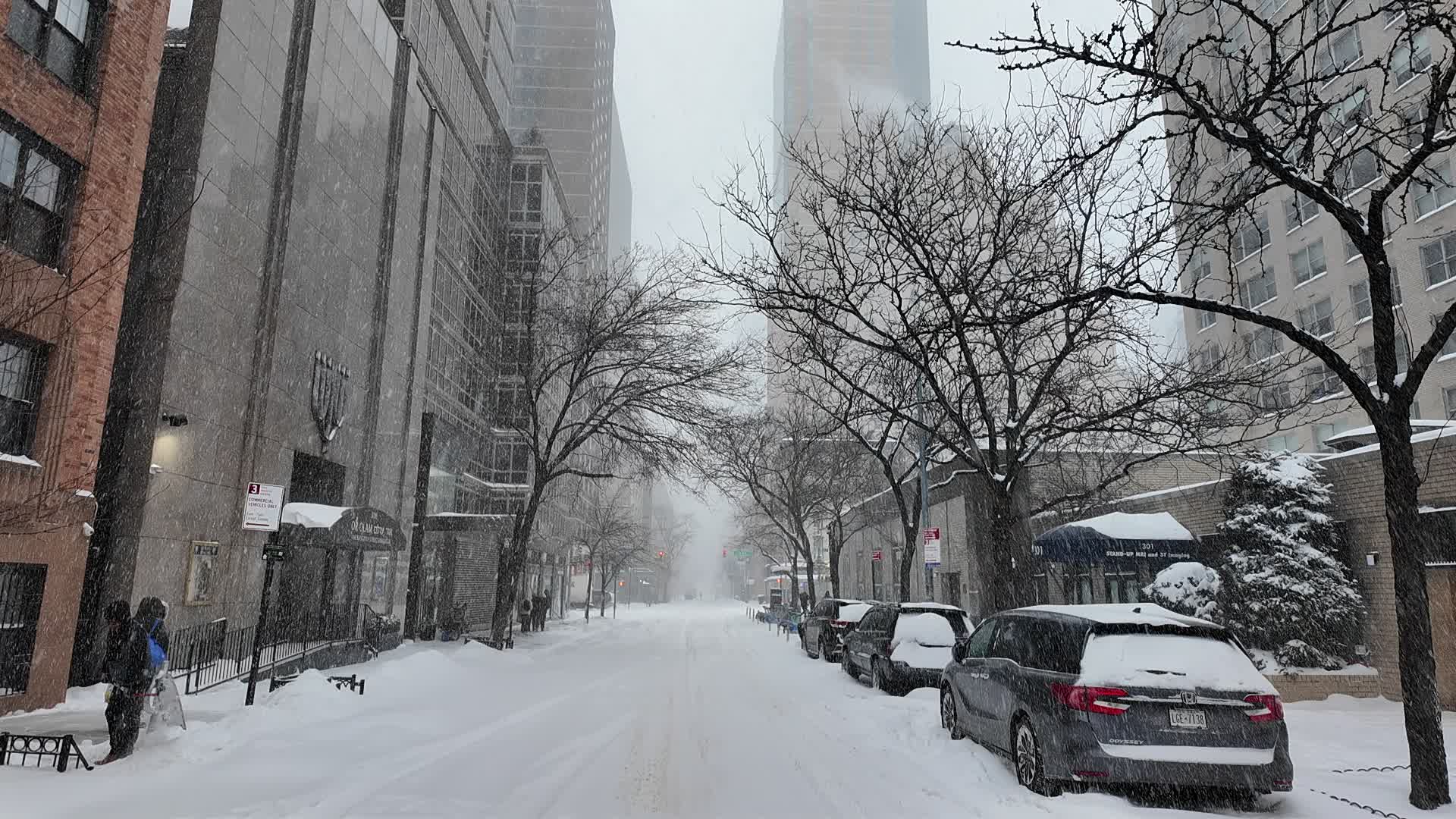 New York City Winter Storm
