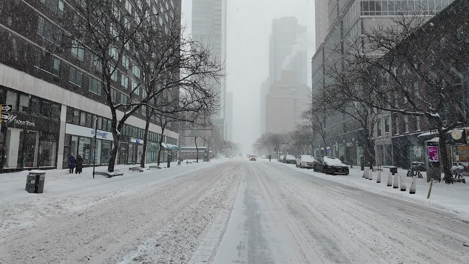 New York City Winter Storm
