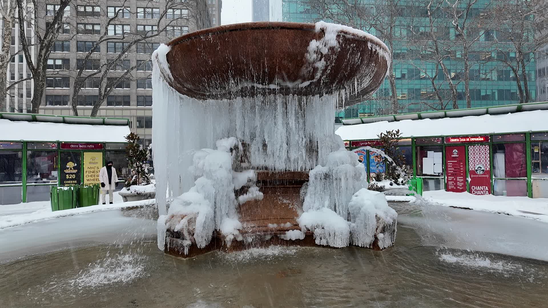 New York City Winter Storm
