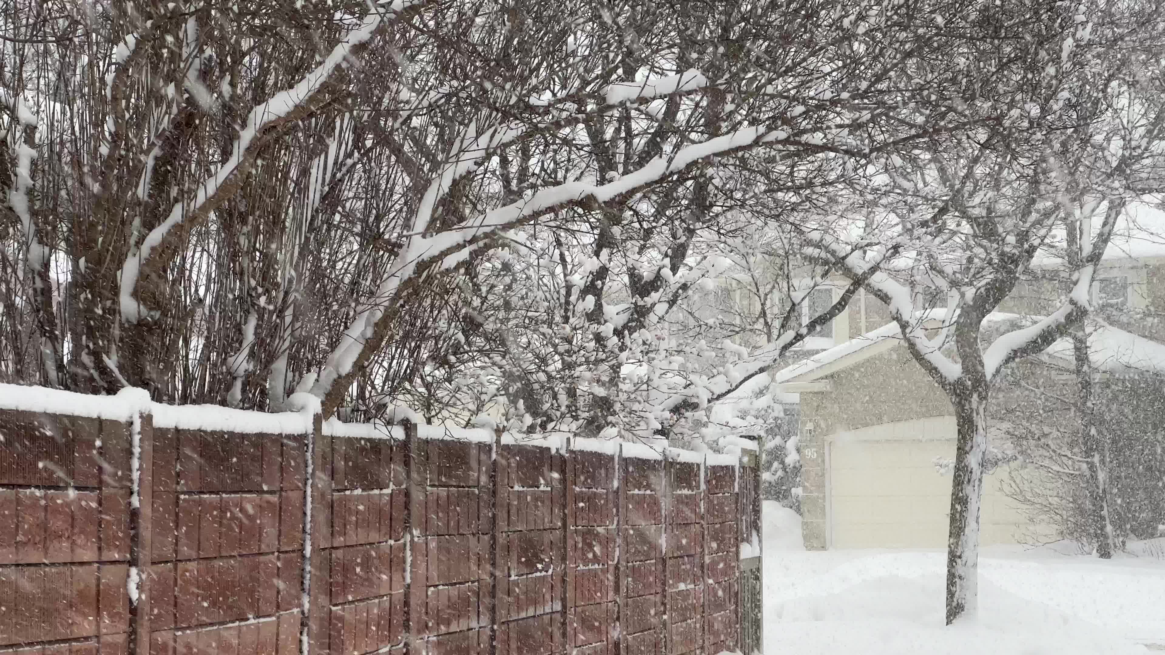 Winter snowstorm could bring up to 60 cm of snow to Toronto