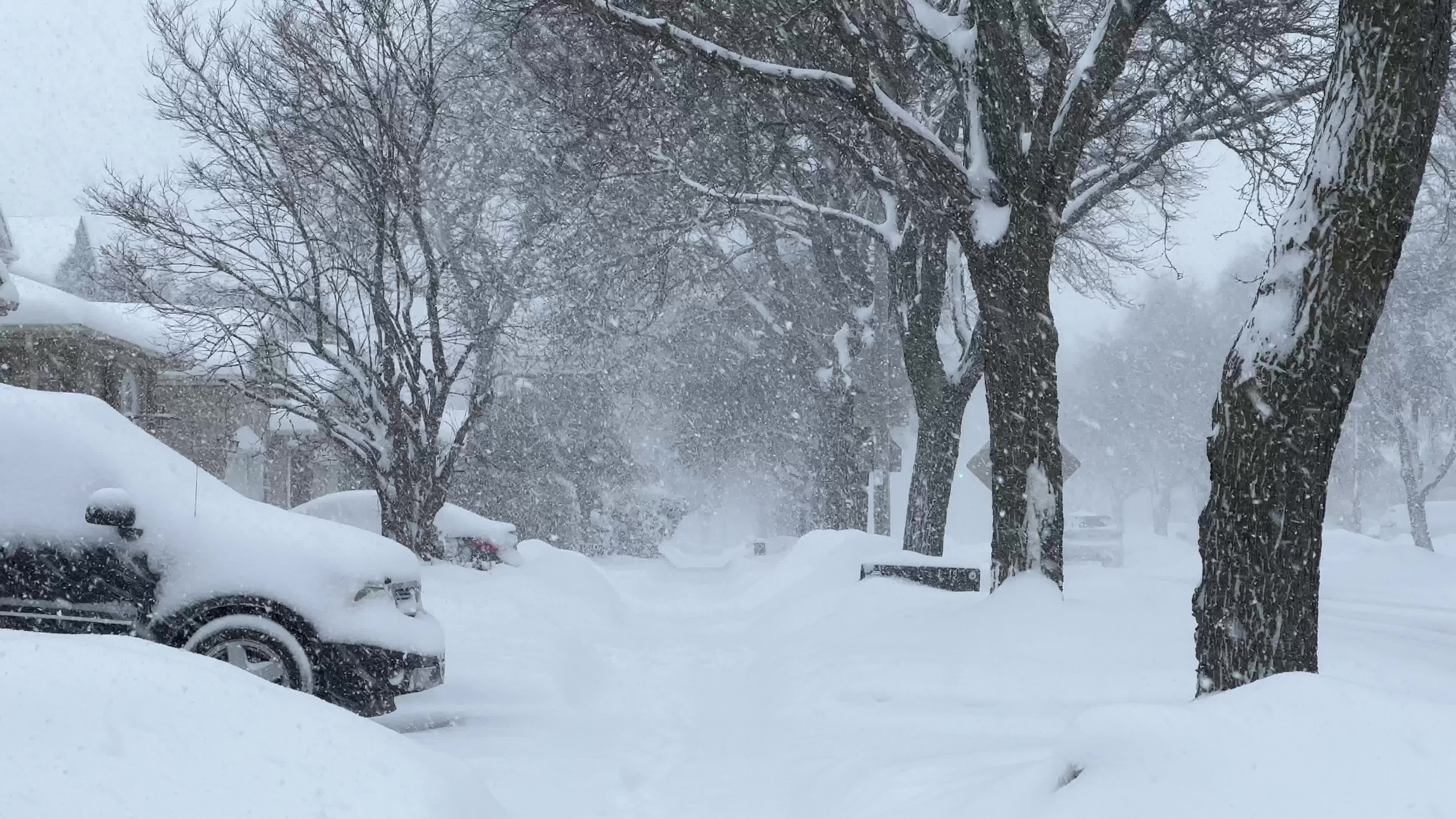 Winter snowstorm could bring up to 60 cm of snow to Toronto