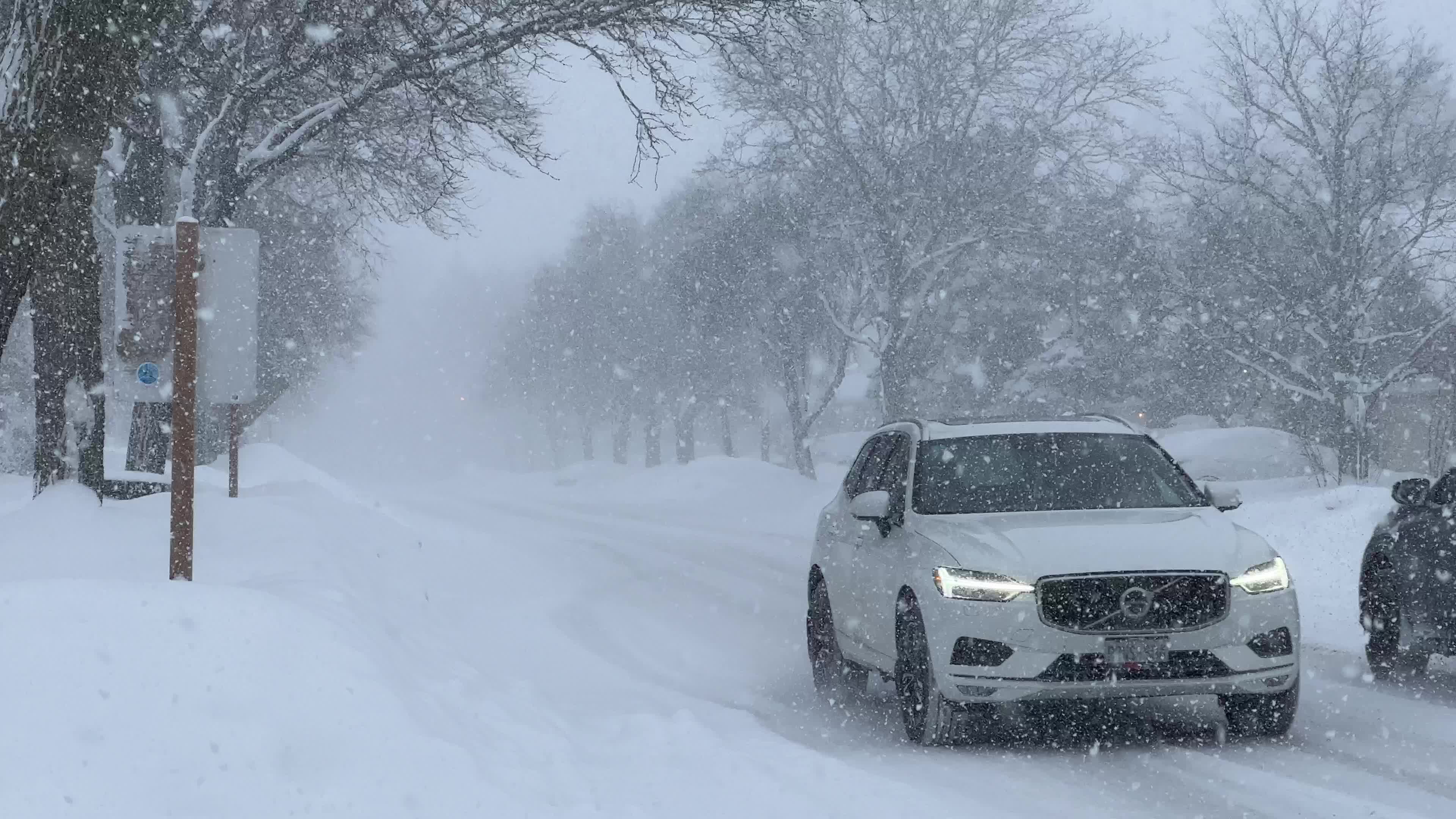 Winter snowstorm could bring up to 60 cm of snow to Toronto