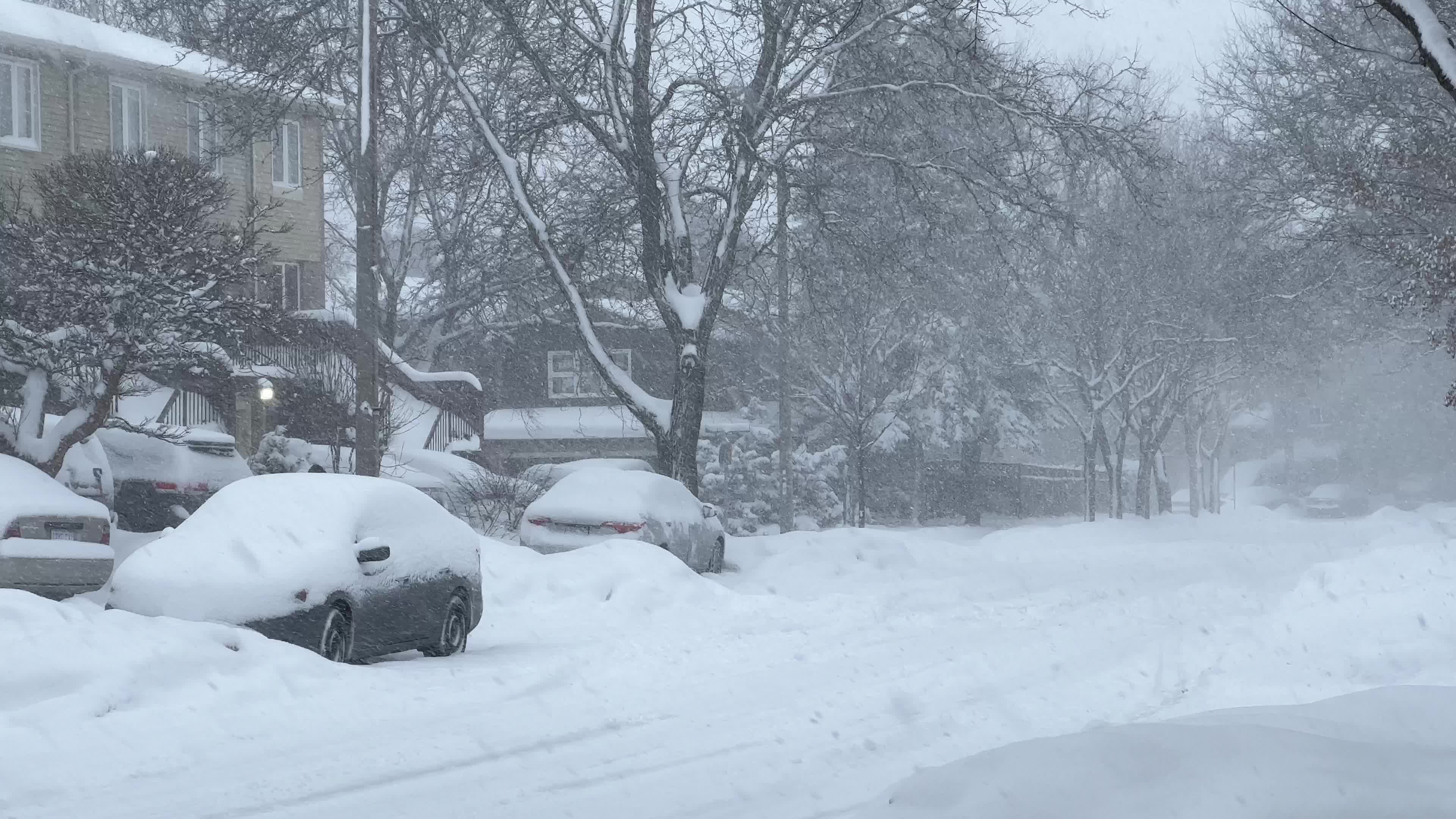 Winter snowstorm could bring up to 60 cm of snow to Toronto