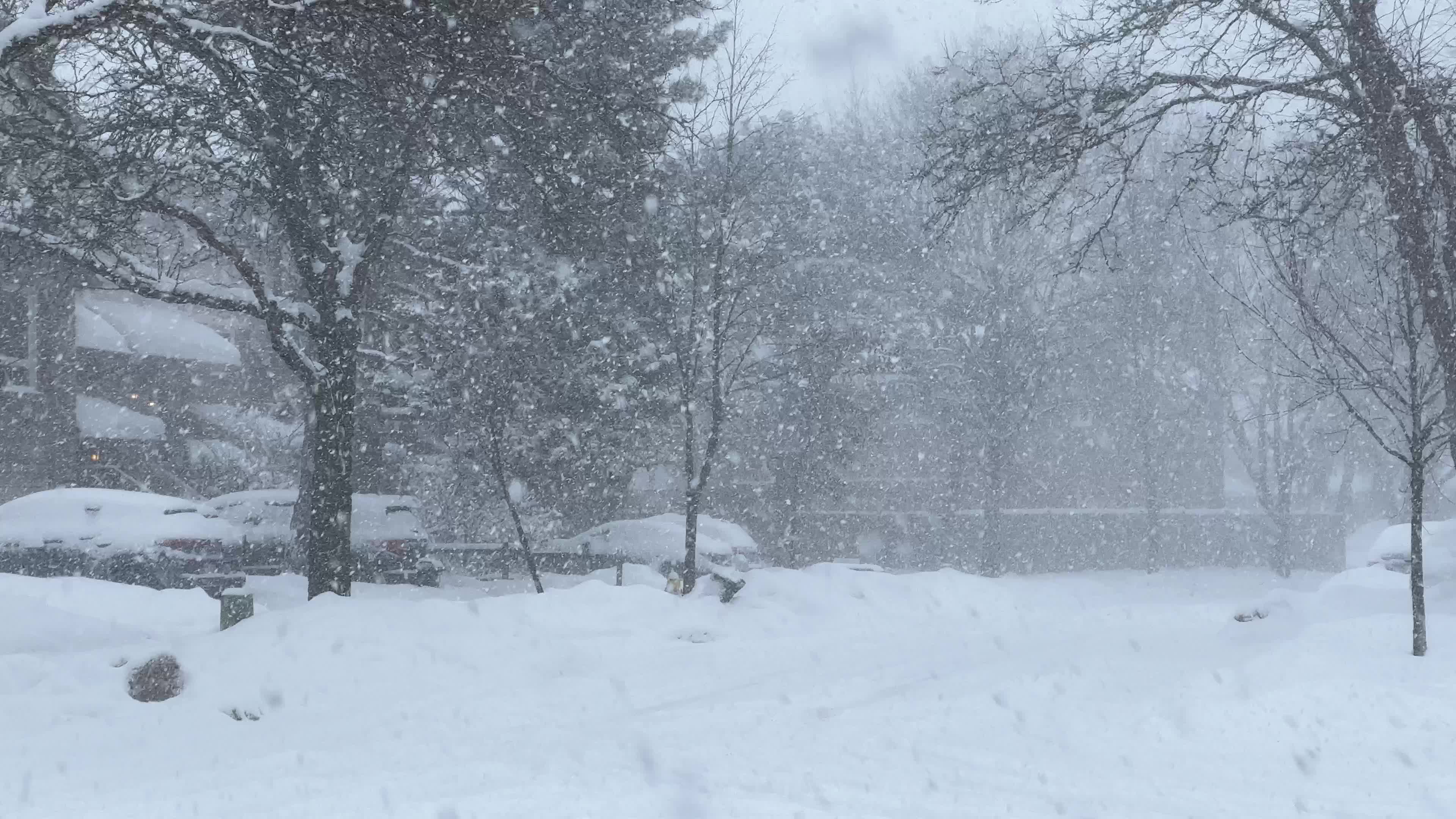 Winter snowstorm could bring up to 60 cm of snow to Toronto