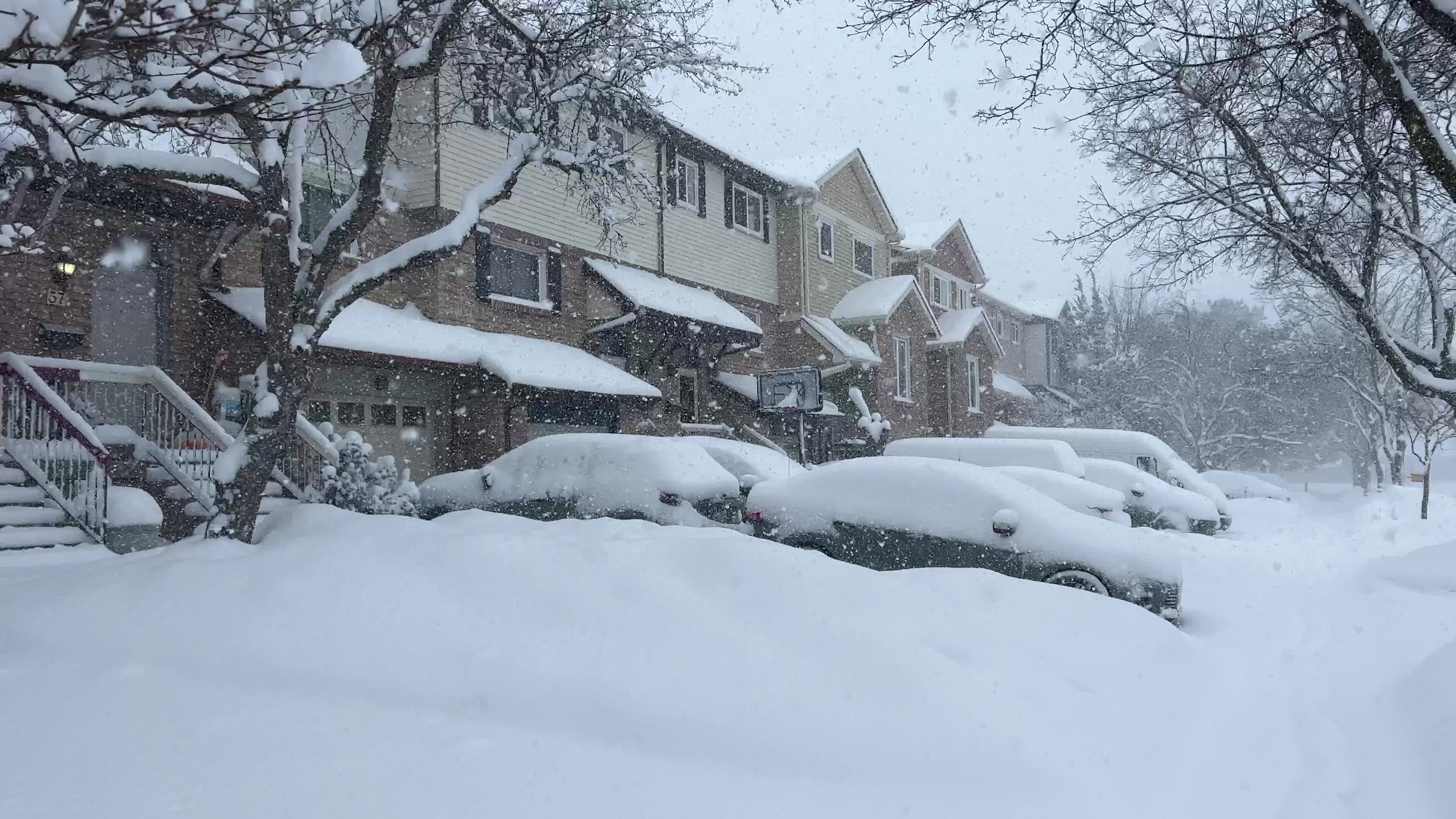 Winter snowstorm could bring up to 60 cm of snow to Toronto