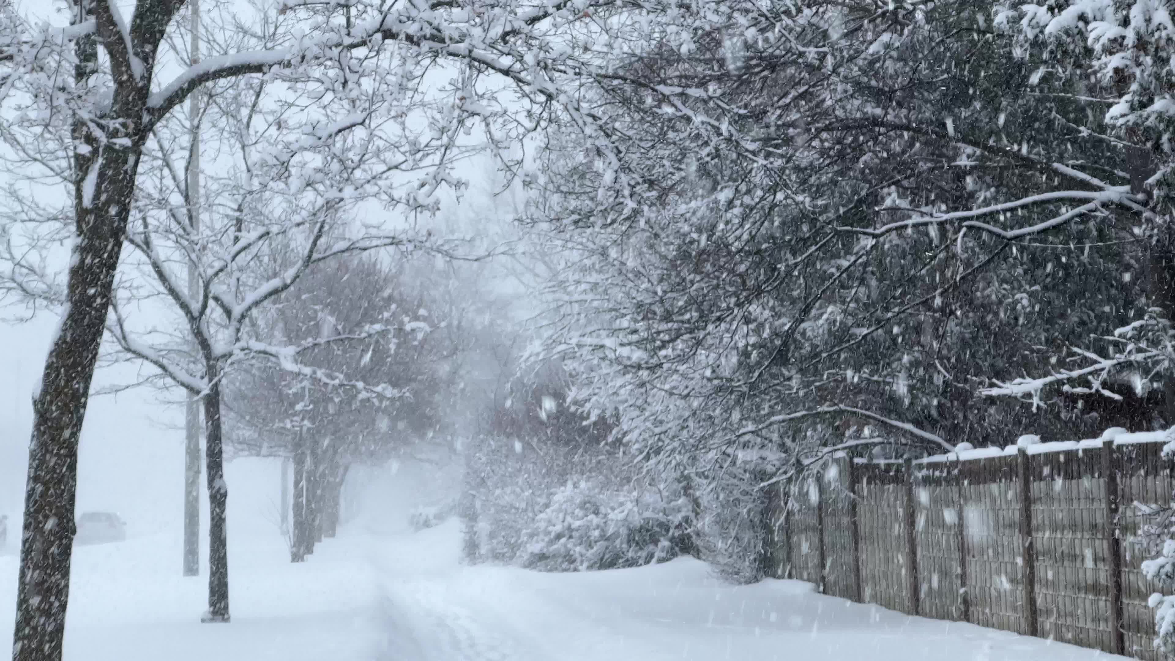 Winter snowstorm could bring up to 60 cm of snow to Toronto