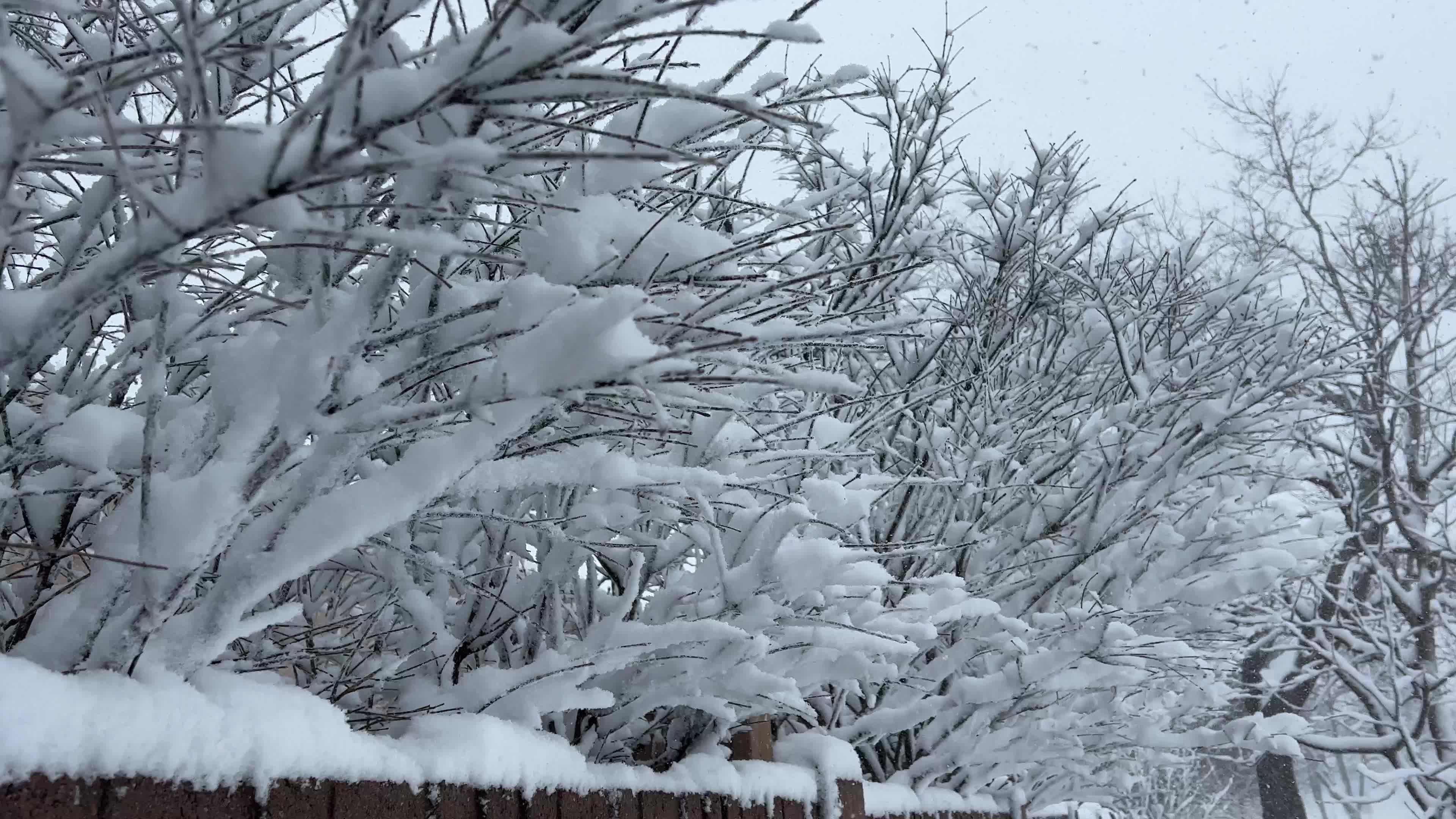 Winter snowstorm could bring up to 60 cm of snow to Toronto