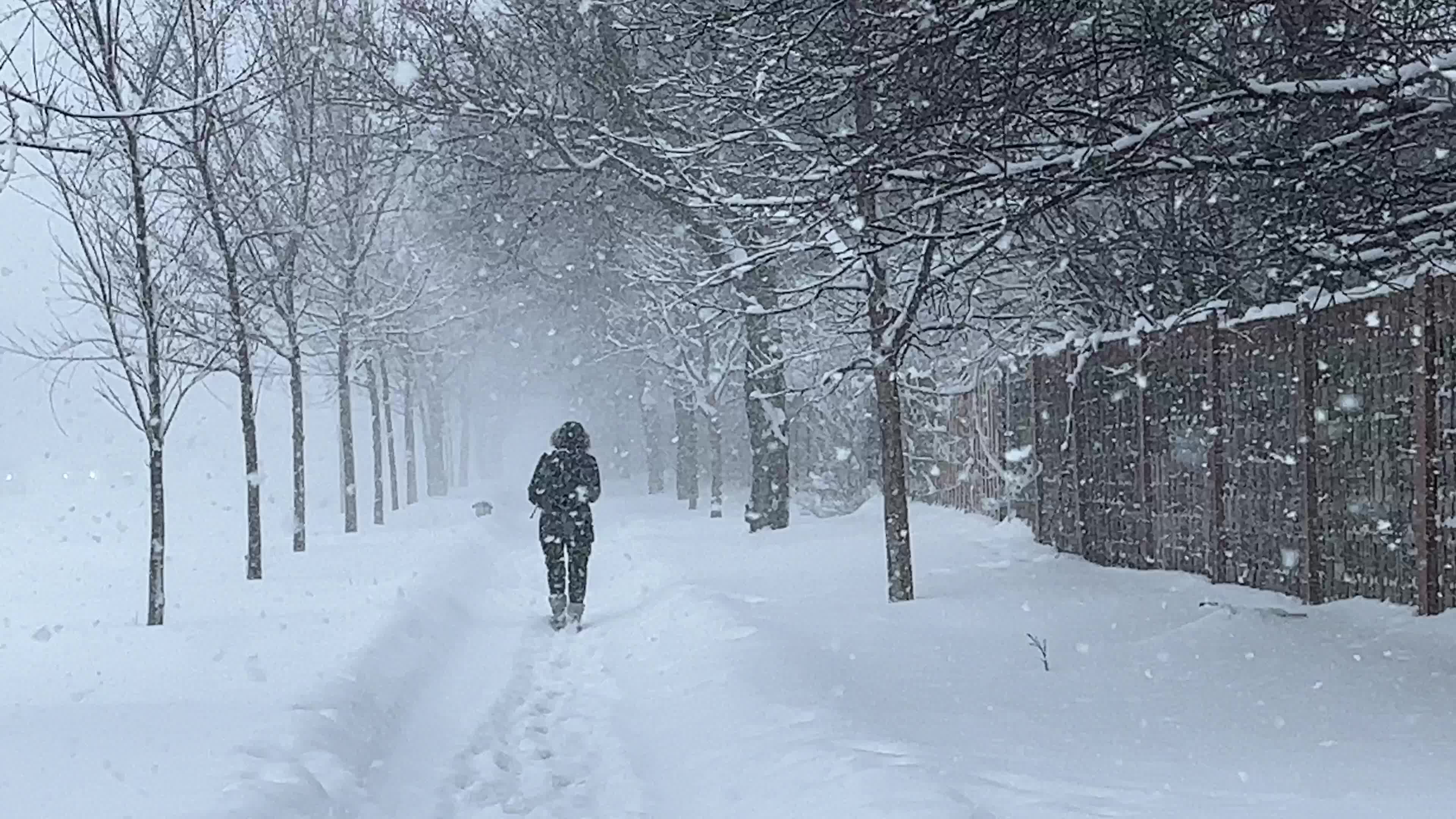 Winter snowstorm could bring up to 60 cm of snow to Toronto