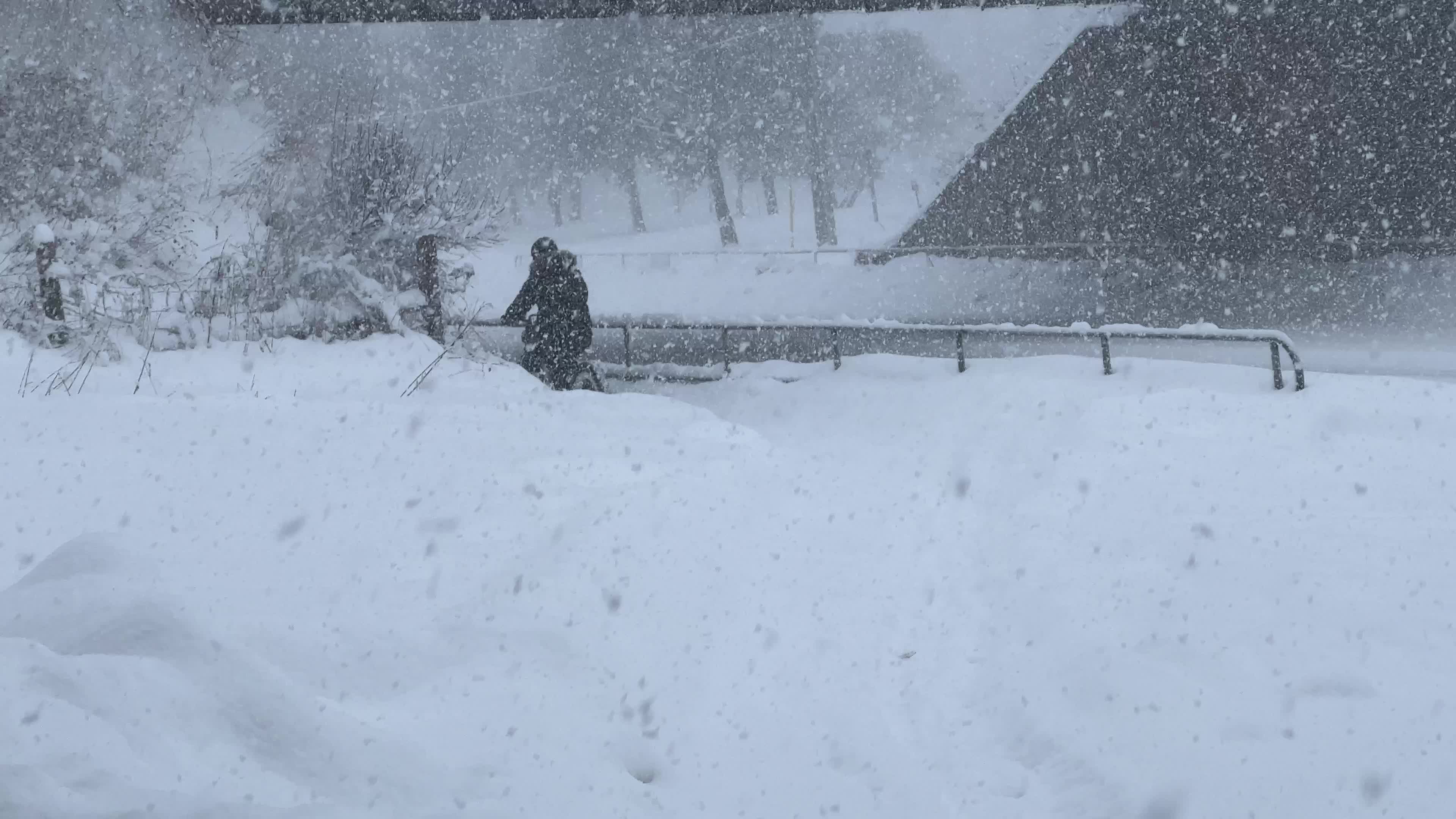Winter snowstorm could bring up to 60 cm of snow to Toronto