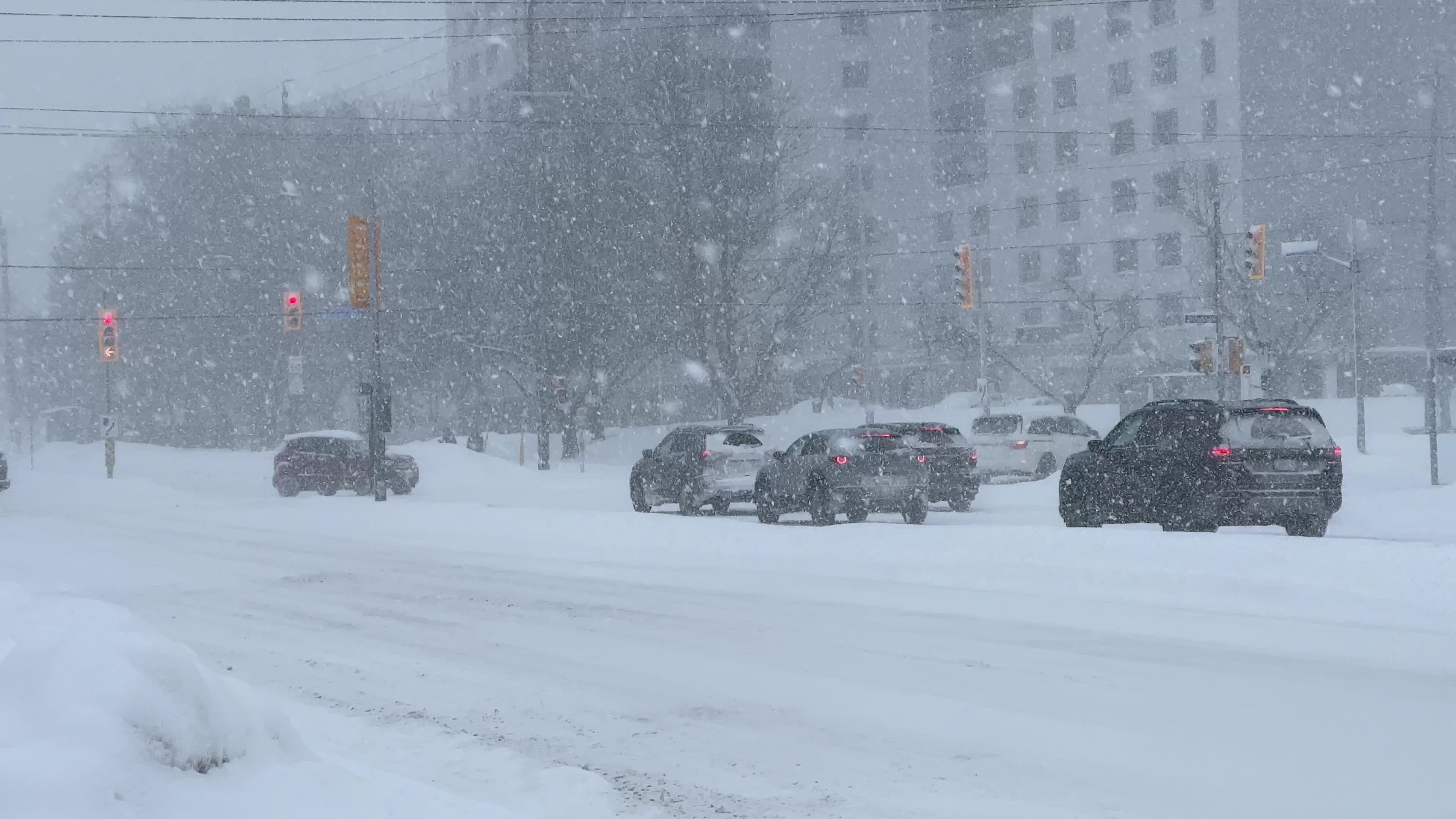 Winter snowstorm could bring up to 60 cm of snow to Toronto