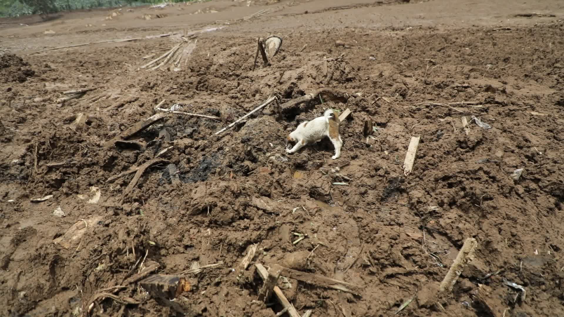 Indonesia landslide death toll rises to 17, dozens missing