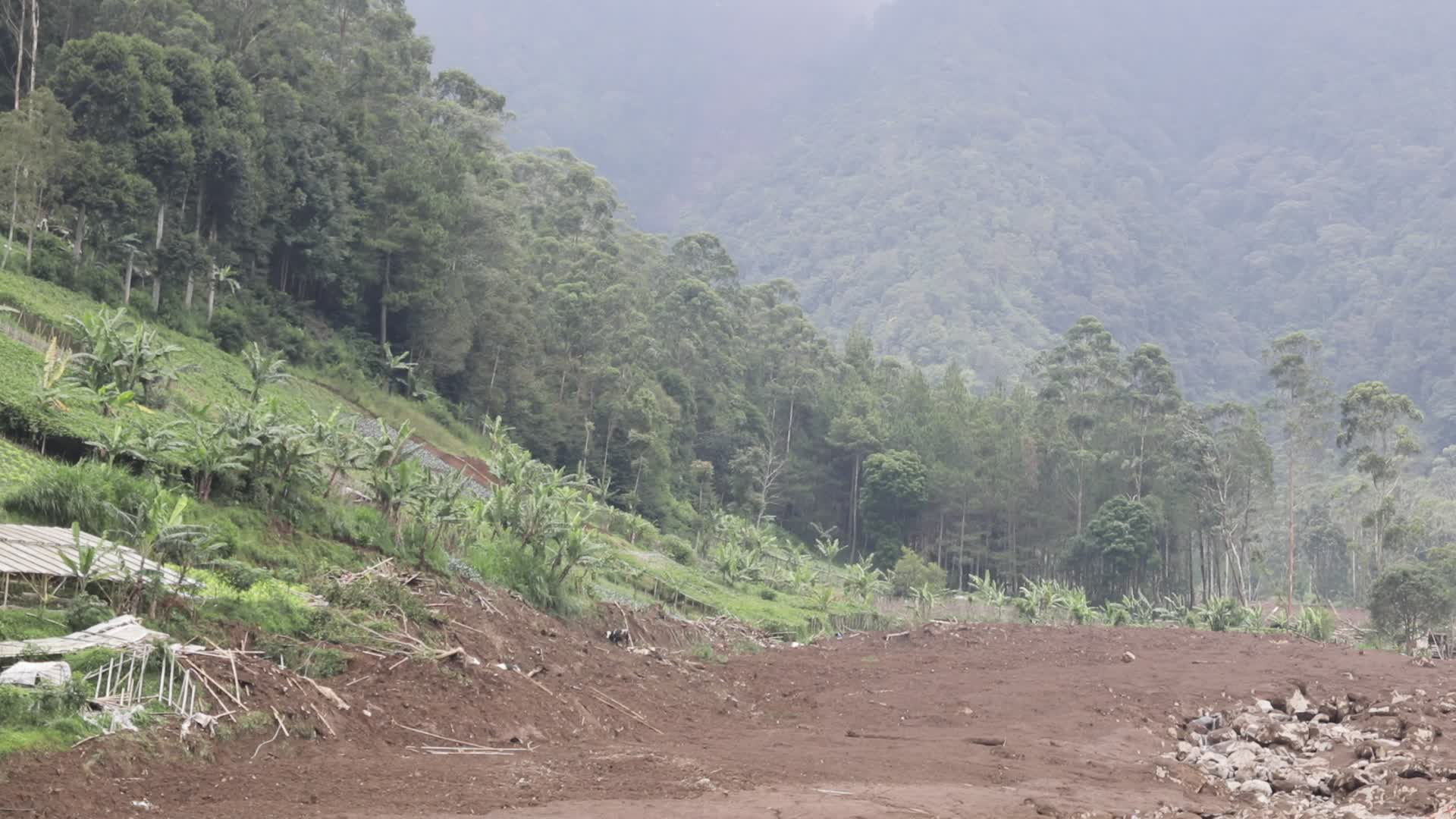 Indonesia landslide death toll rises to 17, dozens missing