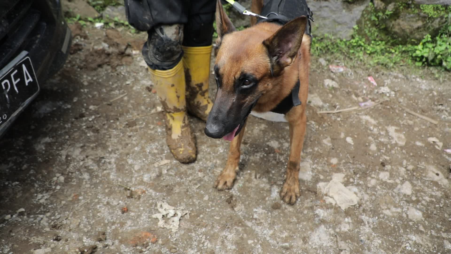 Indonesia landslide death toll rises to 17, dozens missing