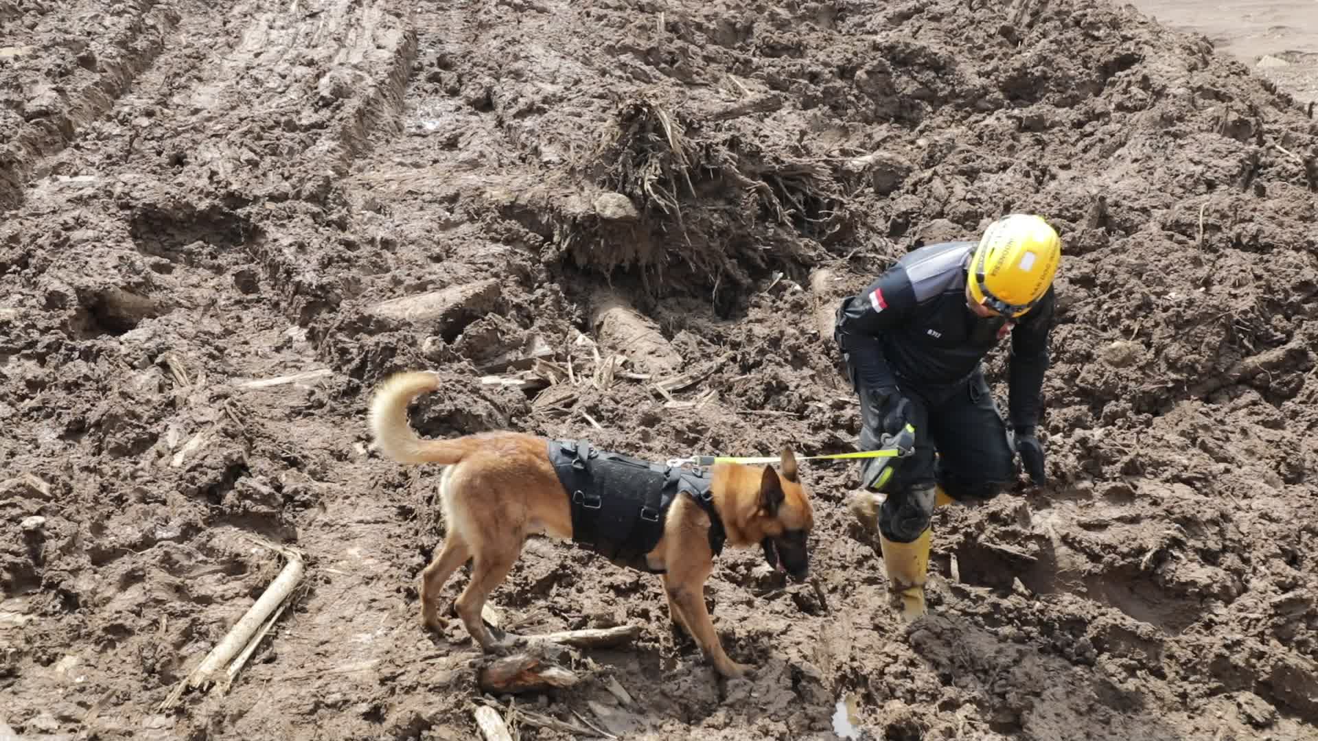 Indonesia landslide death toll rises to 17, dozens missing