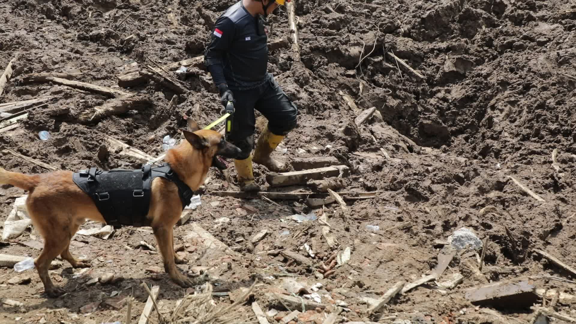 Indonesia landslide death toll rises to 17, dozens missing