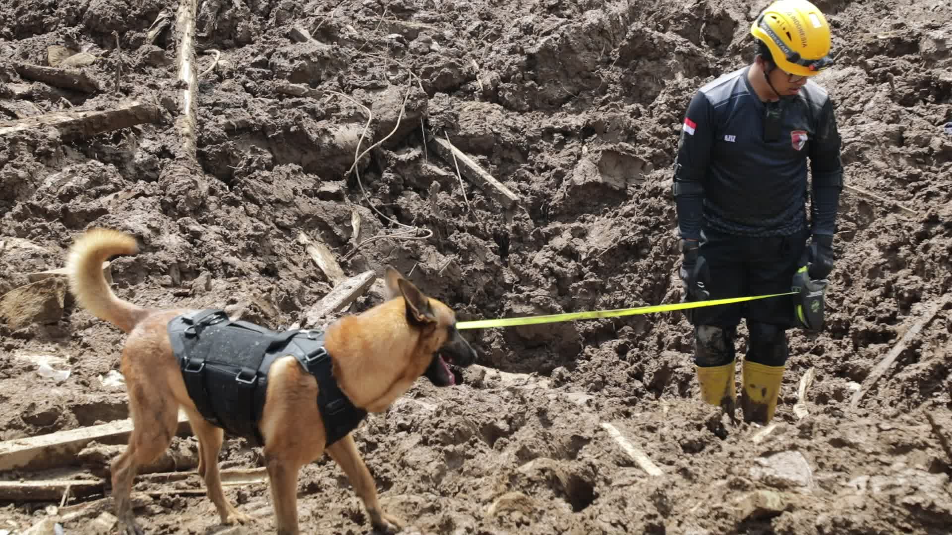 Indonesia landslide death toll rises to 17, dozens missing