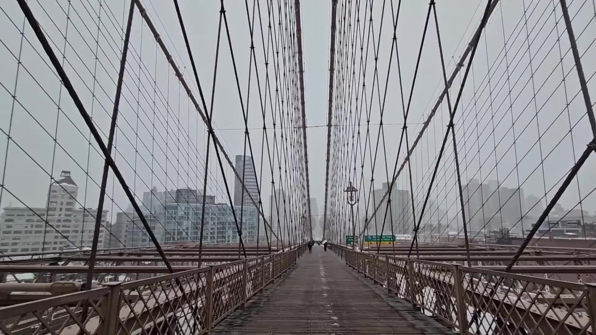 Winter Storm In New York City
