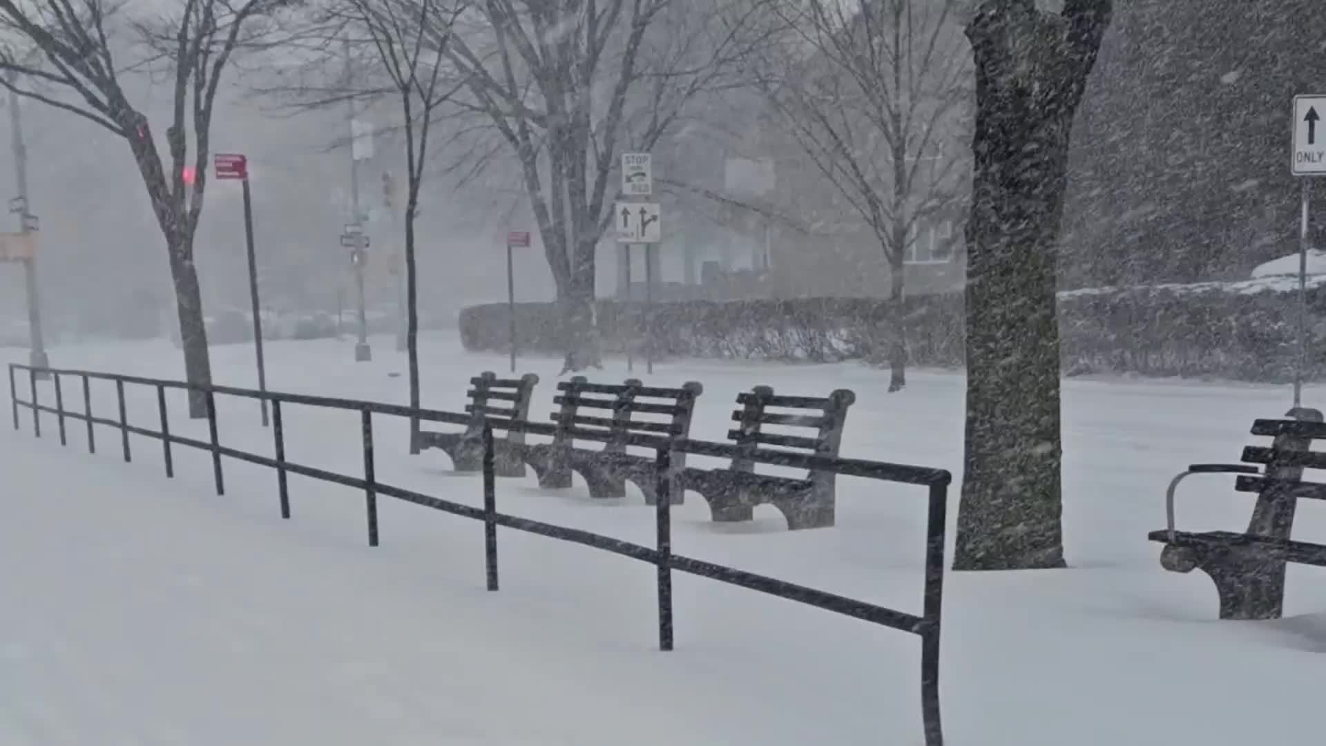 Winter Storm In New York City
