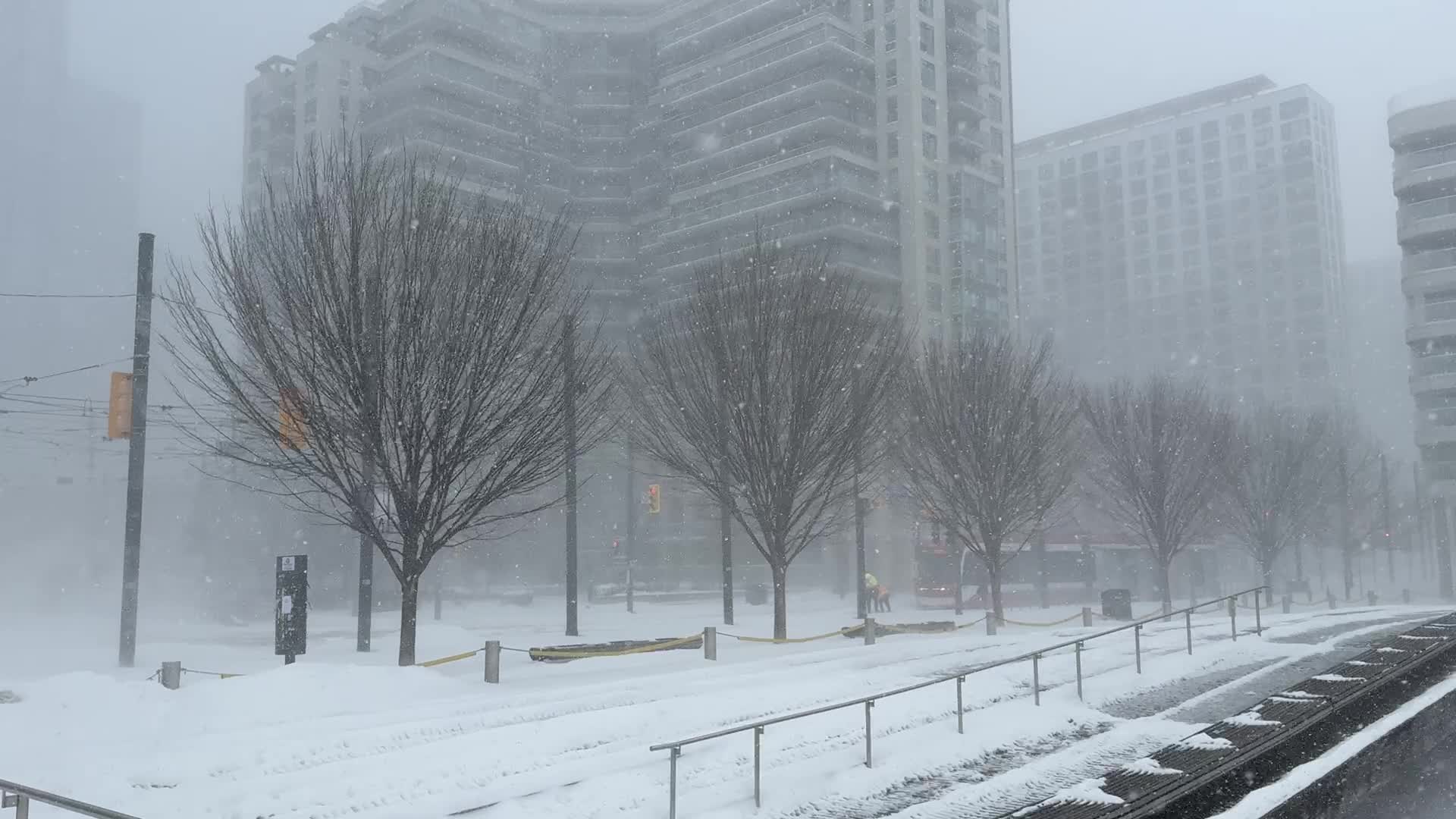 Winter Storm In Toronto, Canada