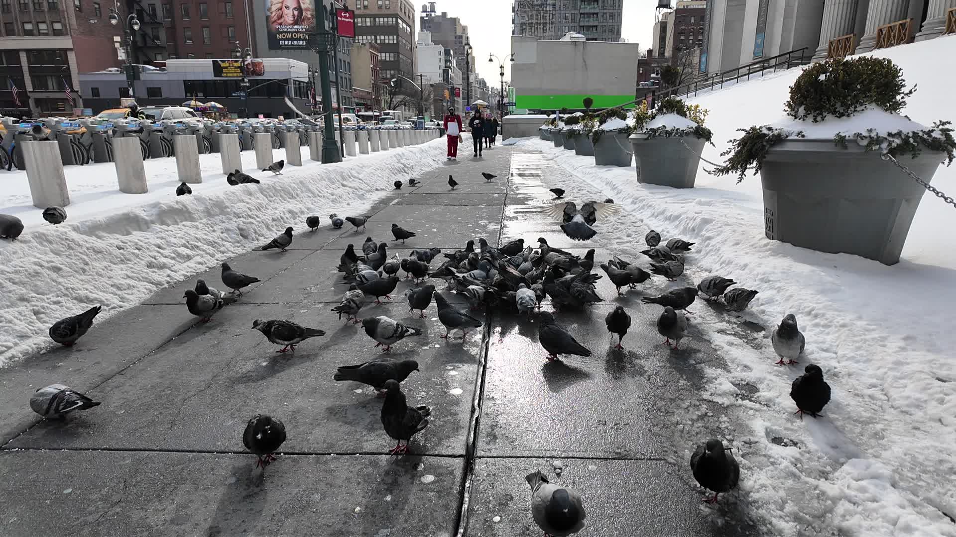 New York City Big Freeze 