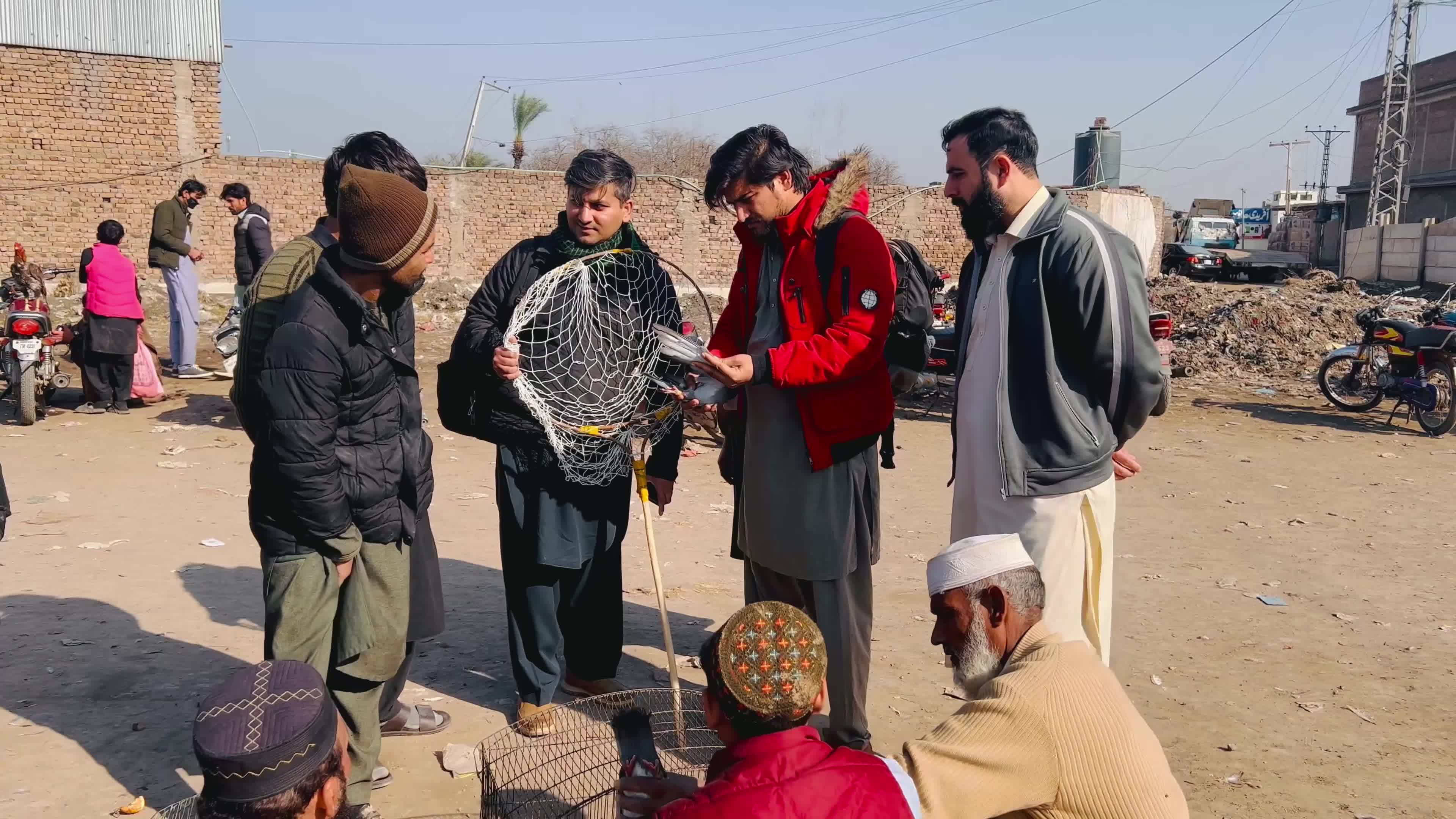 Pigeons Market in Peshawar