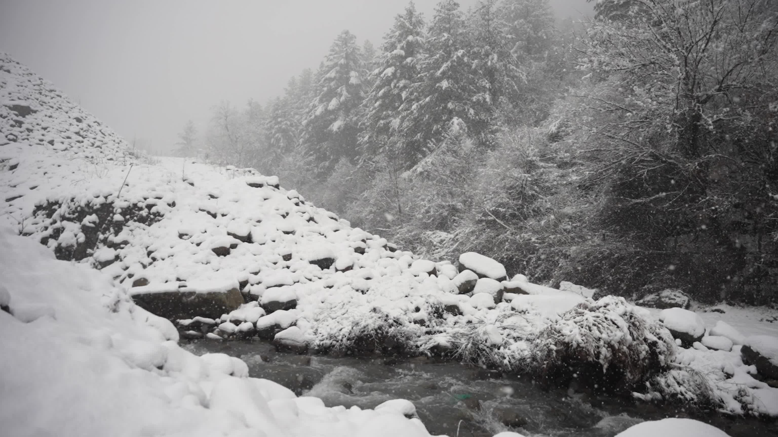 Snowfall disrupts transport across Kashmir Valley in Srinagar, India