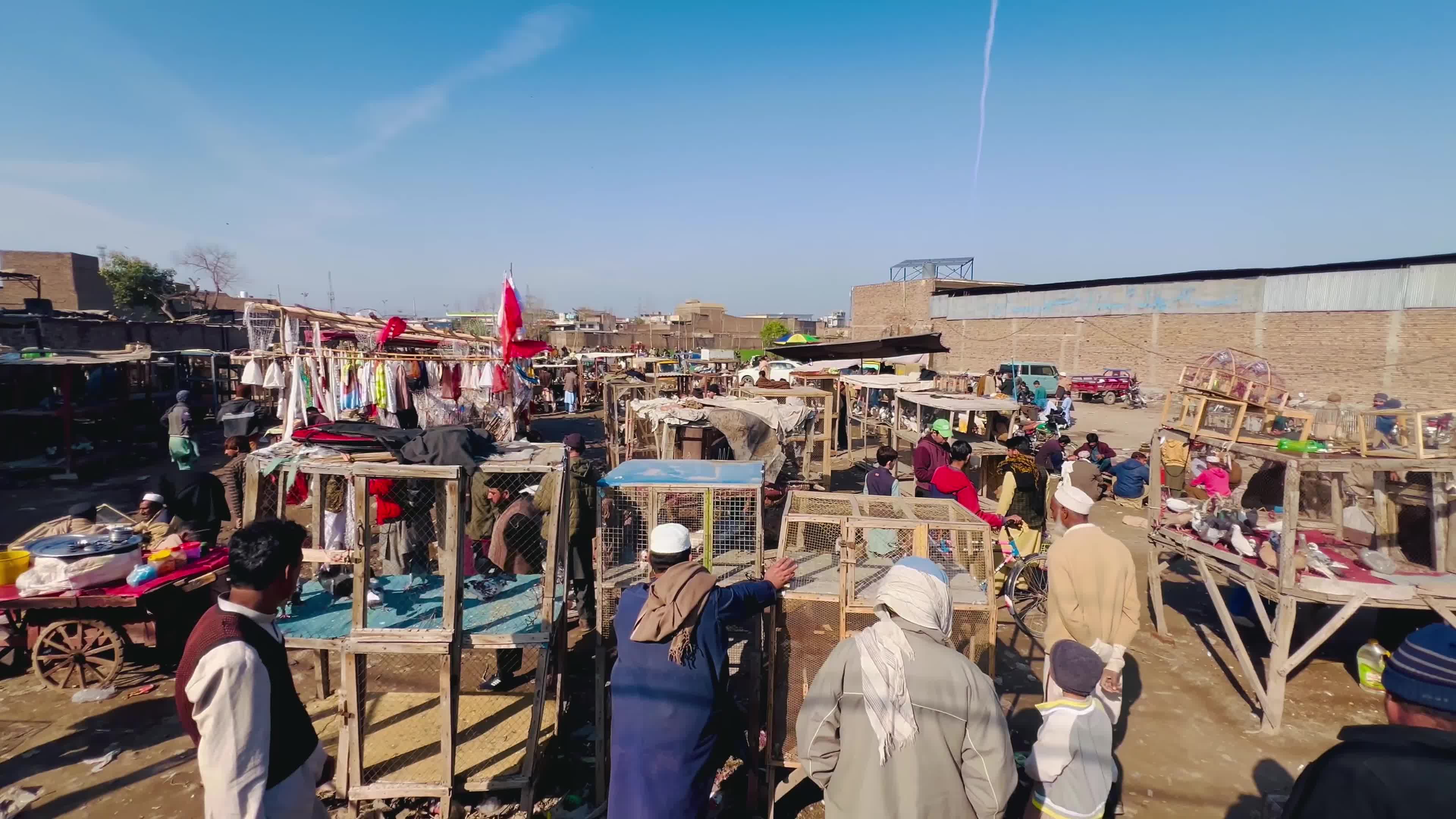 Pigeons Market in Peshawar