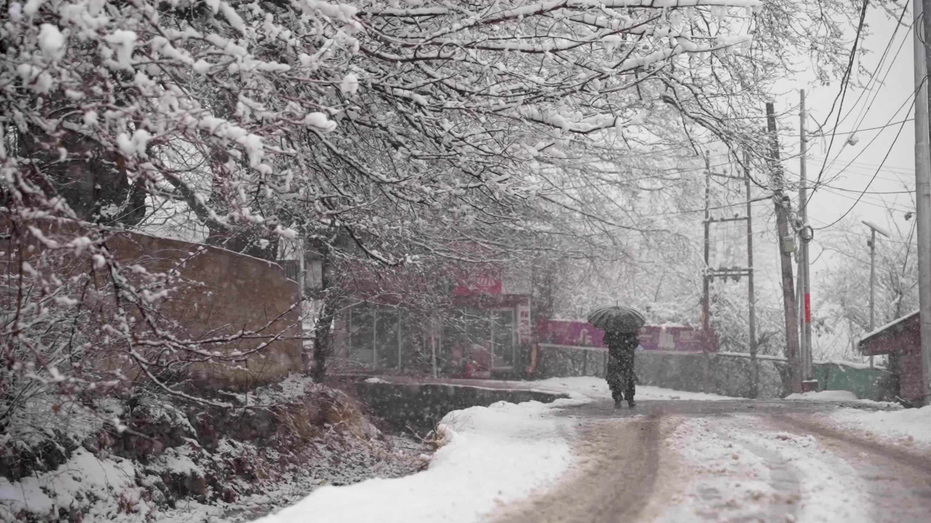 Snowfall disrupts transport across Kashmir Valley in Srinagar, India