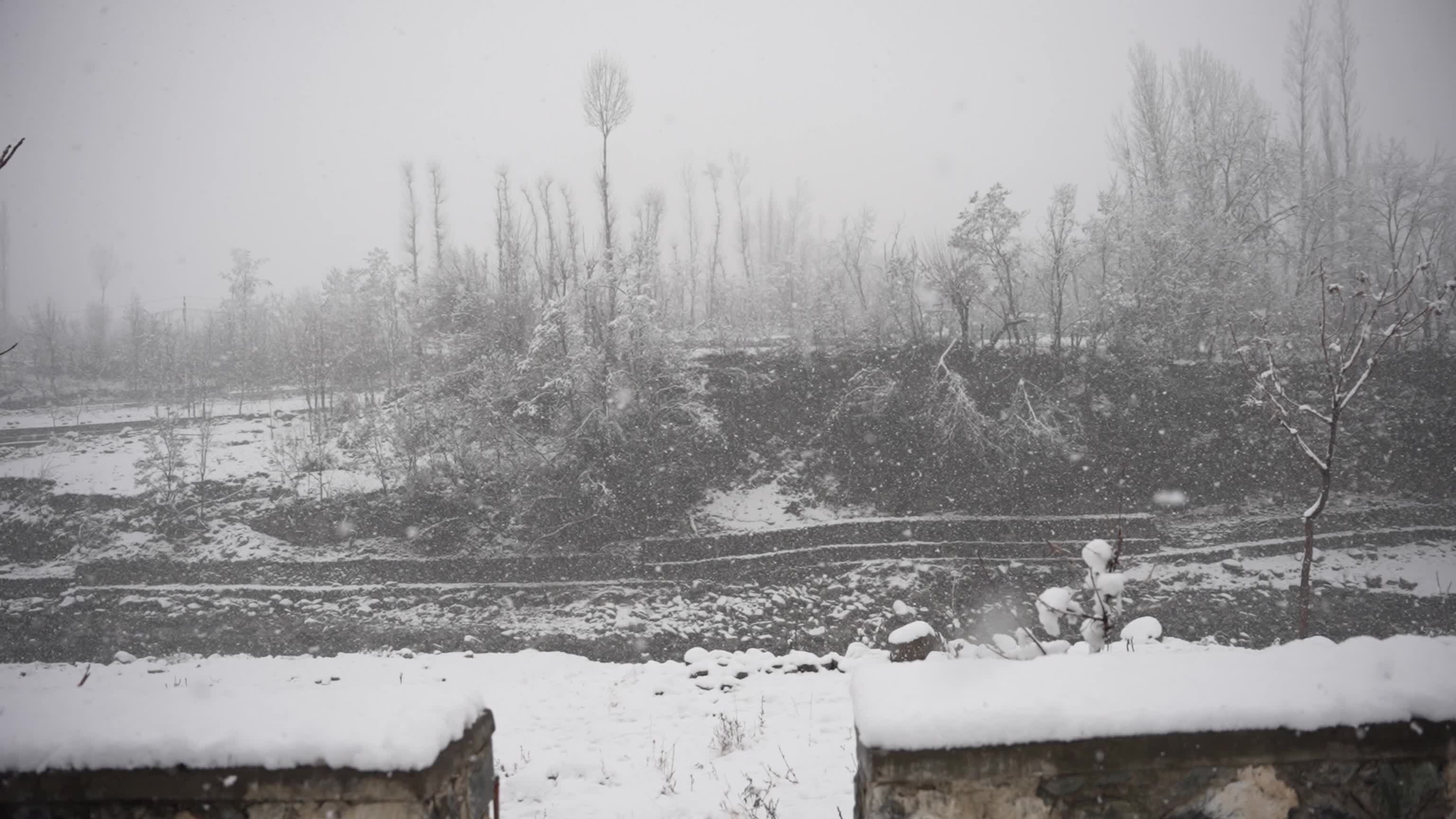 Snowfall disrupts transport across Kashmir Valley in Srinagar, India
