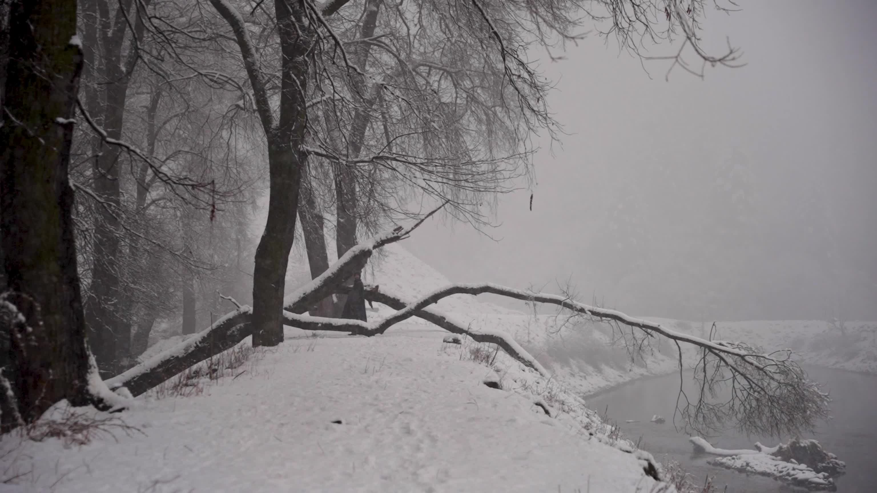 Snowfall disrupts transport across Kashmir Valley in Srinagar, India