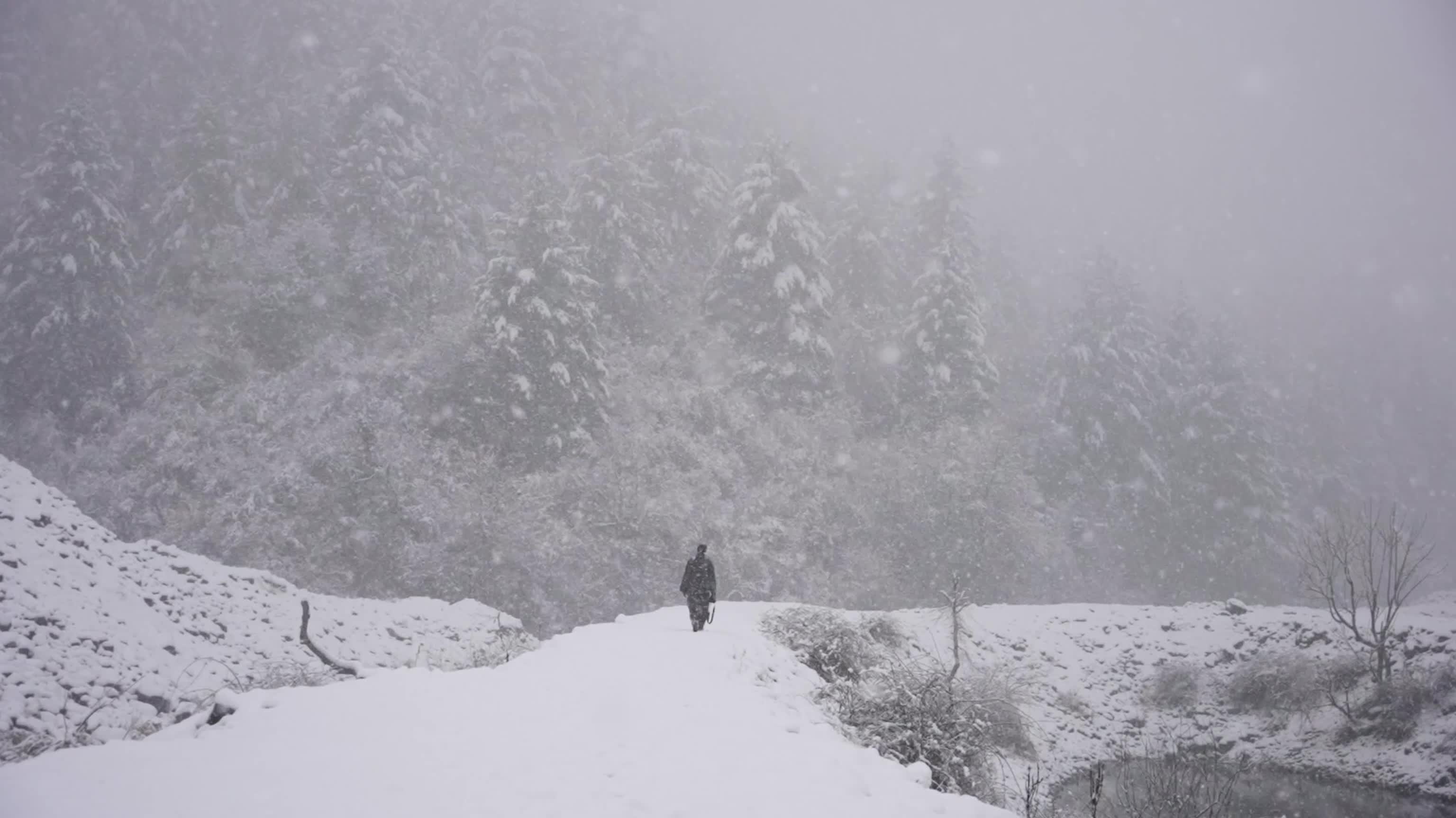 Snowfall disrupts transport across Kashmir Valley in Srinagar, India