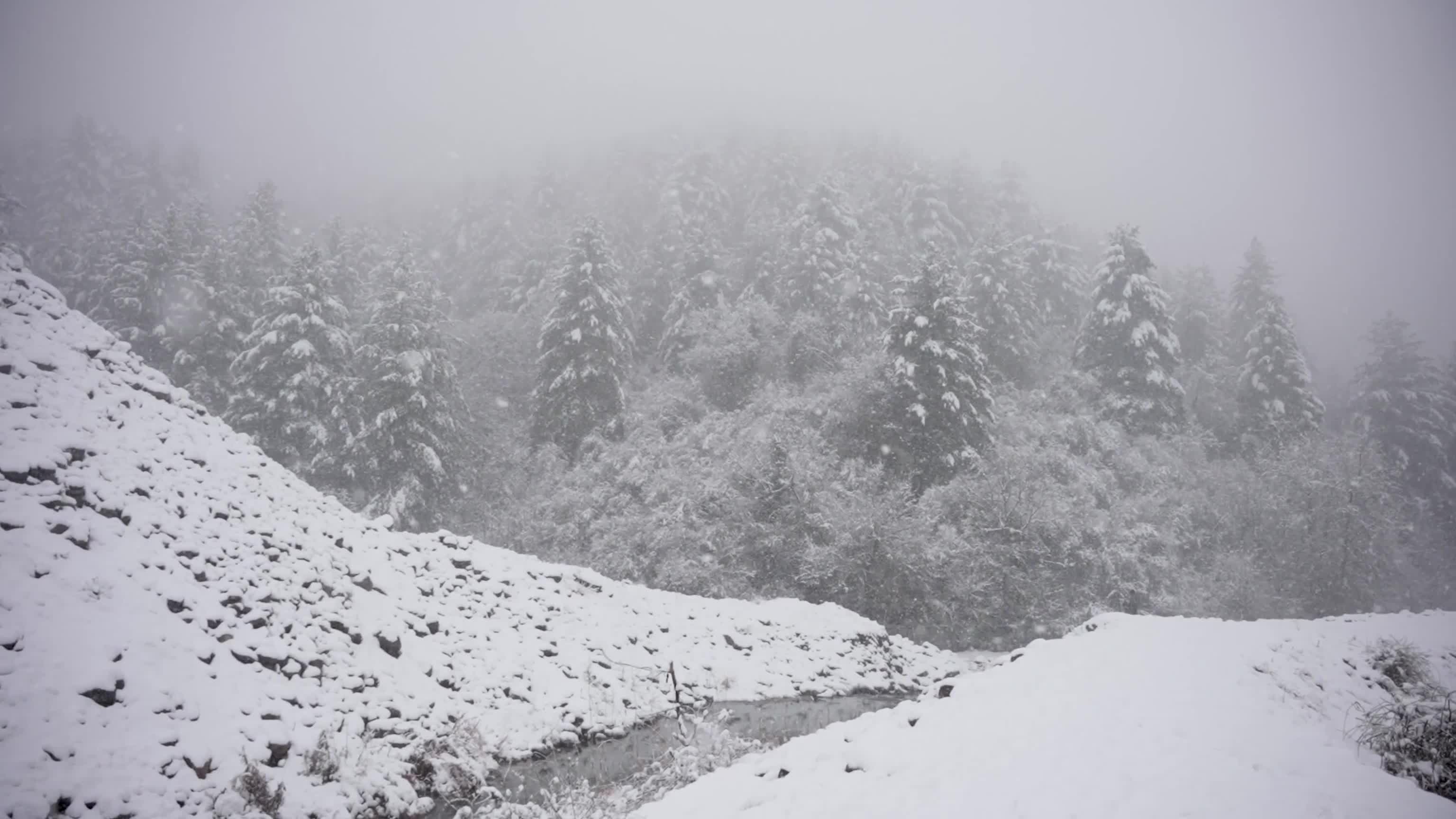 Snowfall disrupts transport across Kashmir Valley in Srinagar, India